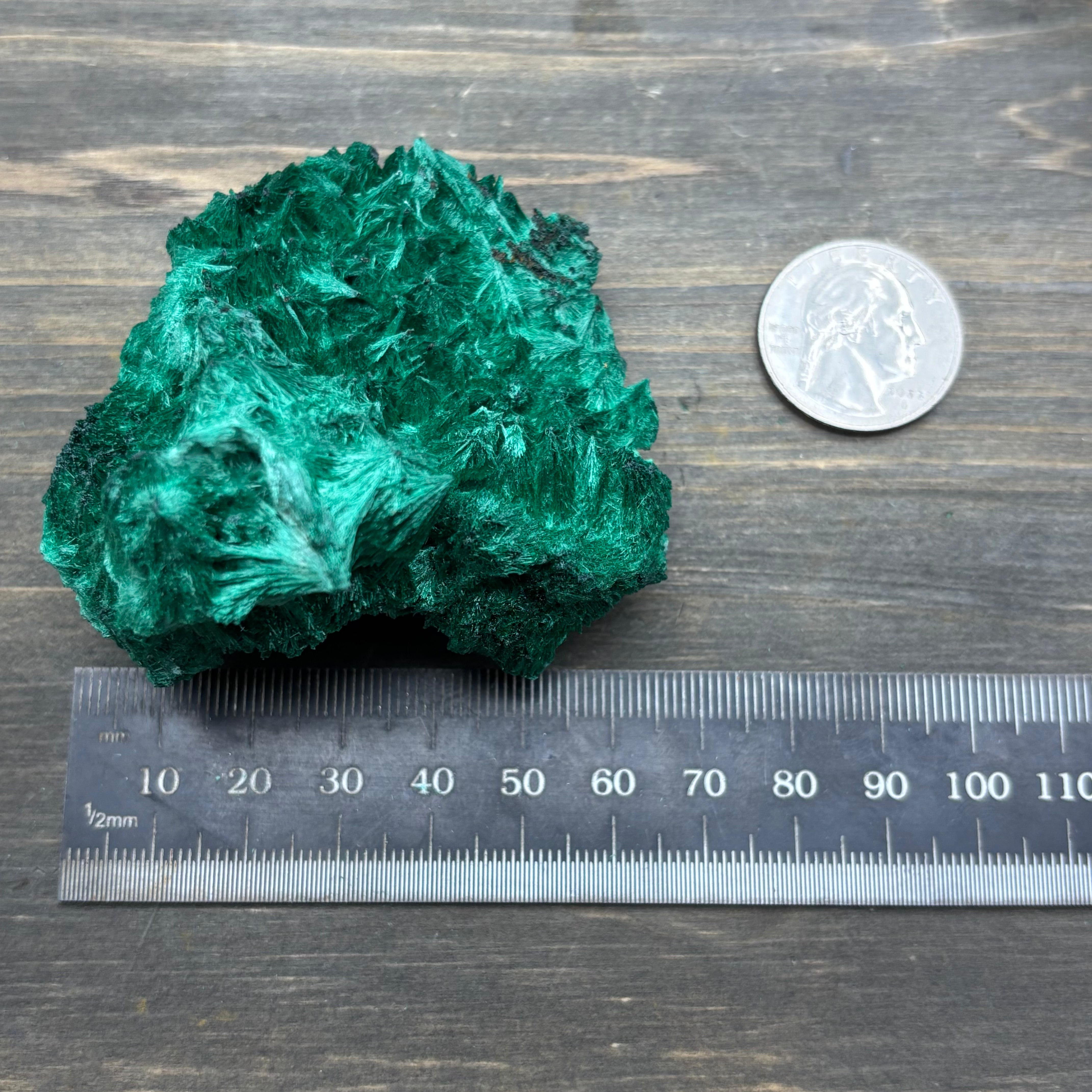 Emperor Malachite - 197