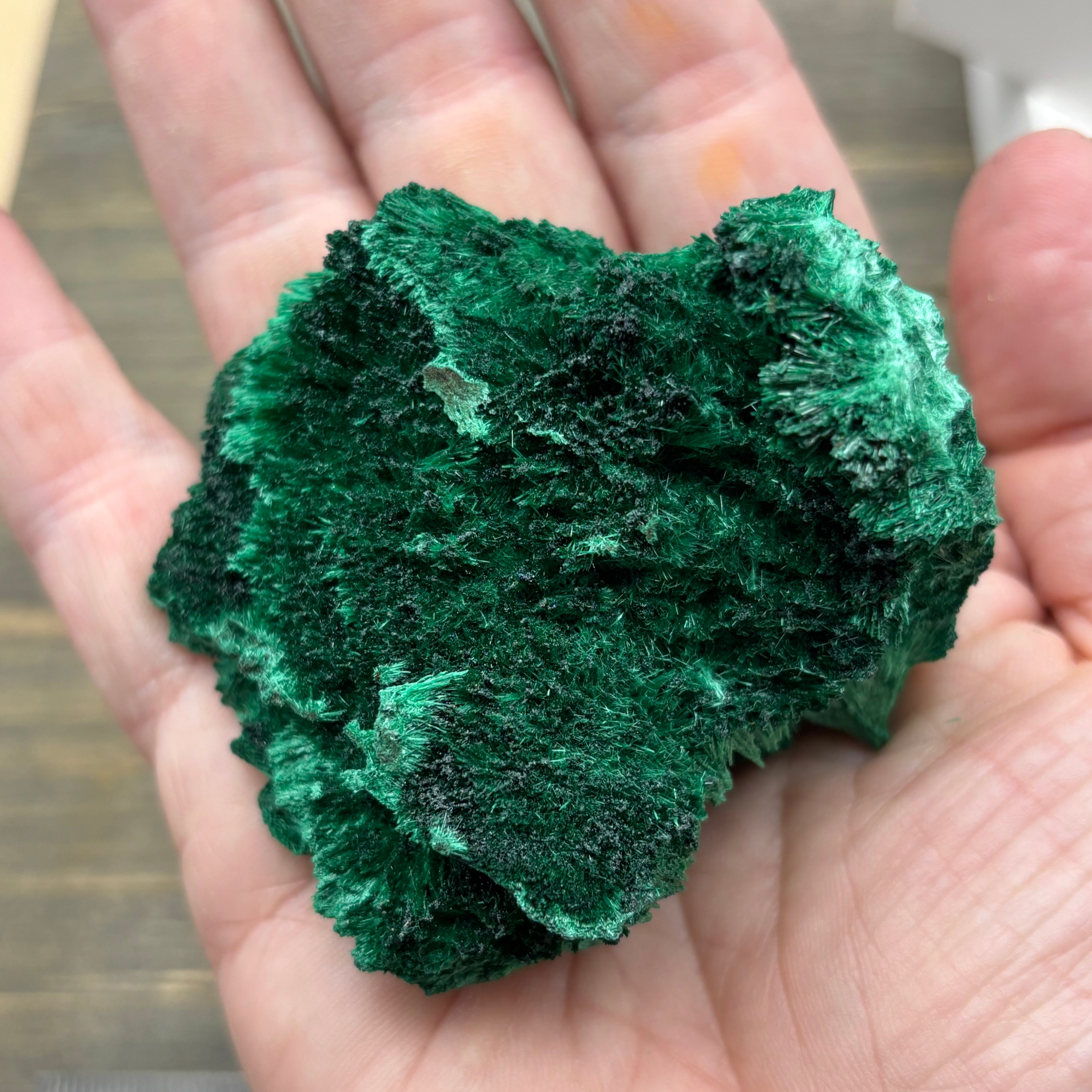 Emperor Malachite - 197