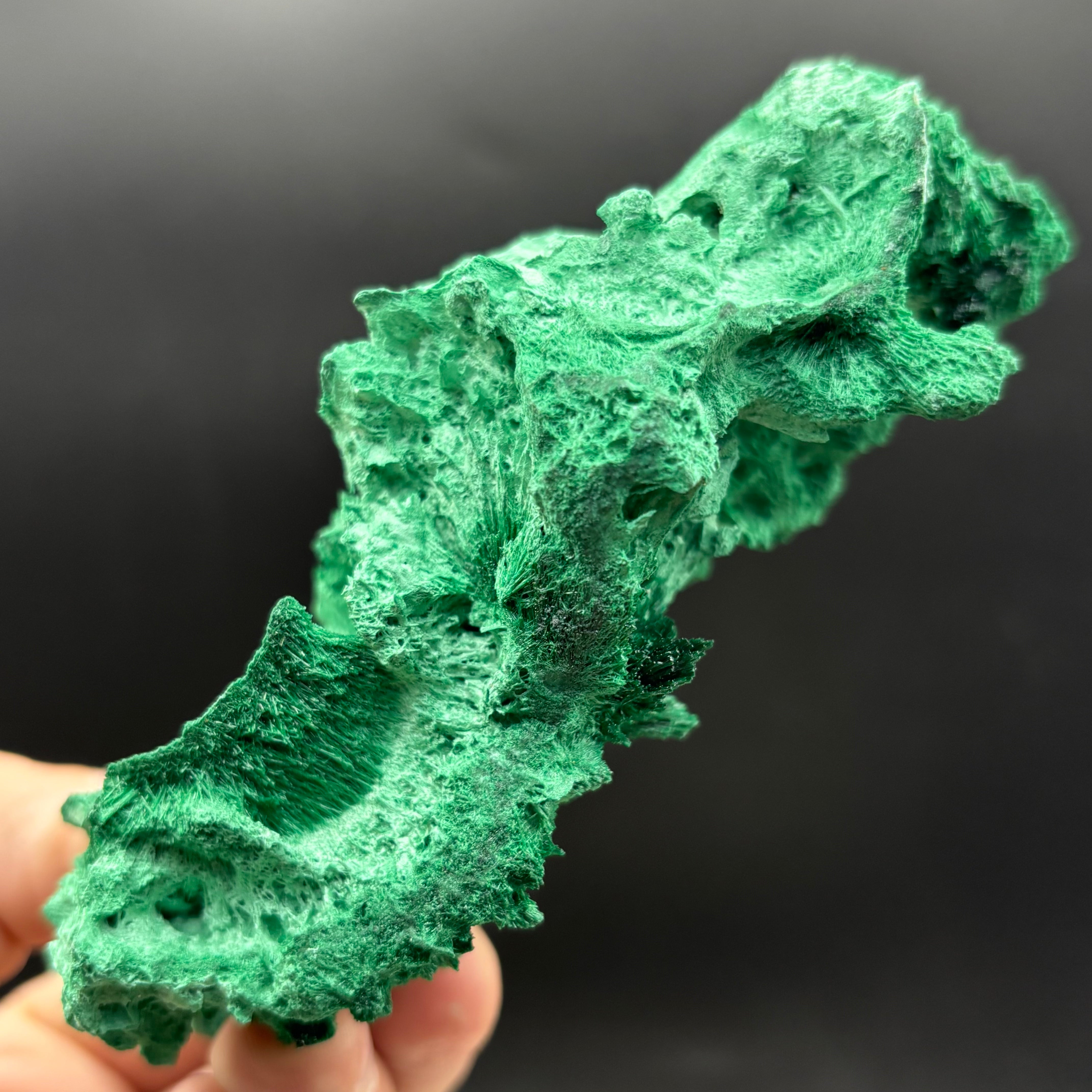 Emperor Malachite - 198