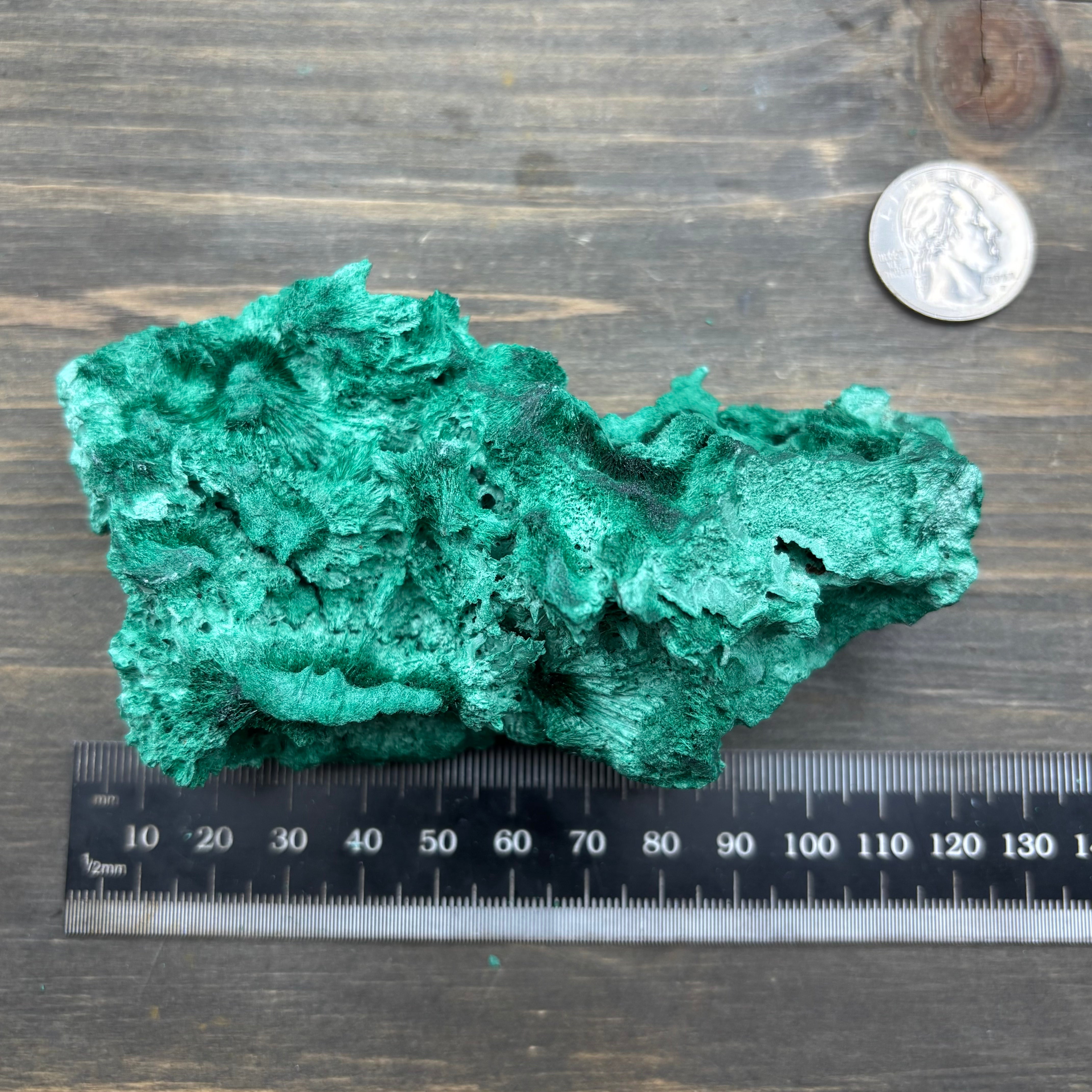 Emperor Malachite - 198