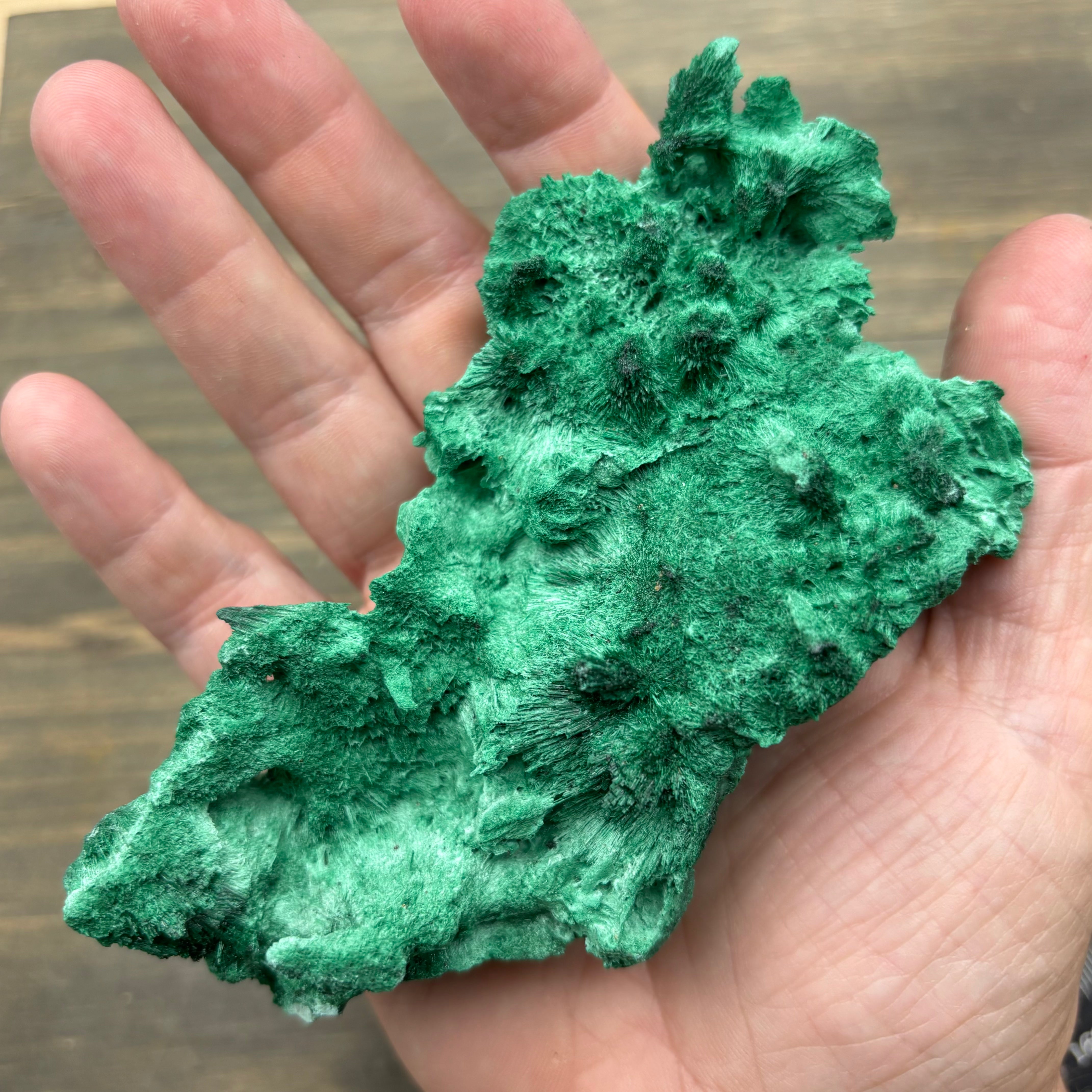 Emperor Malachite - 198