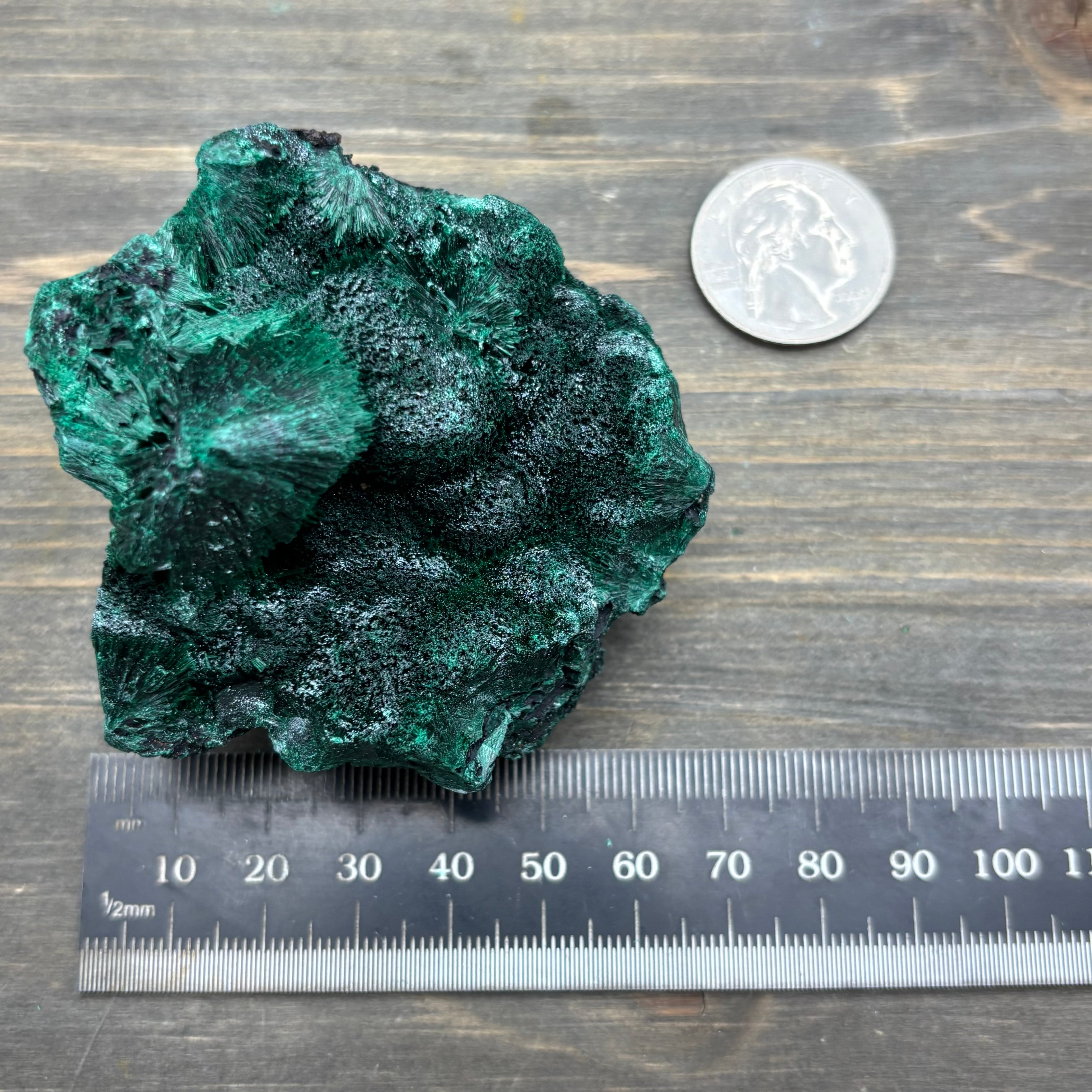 Emperor Malachite - 199