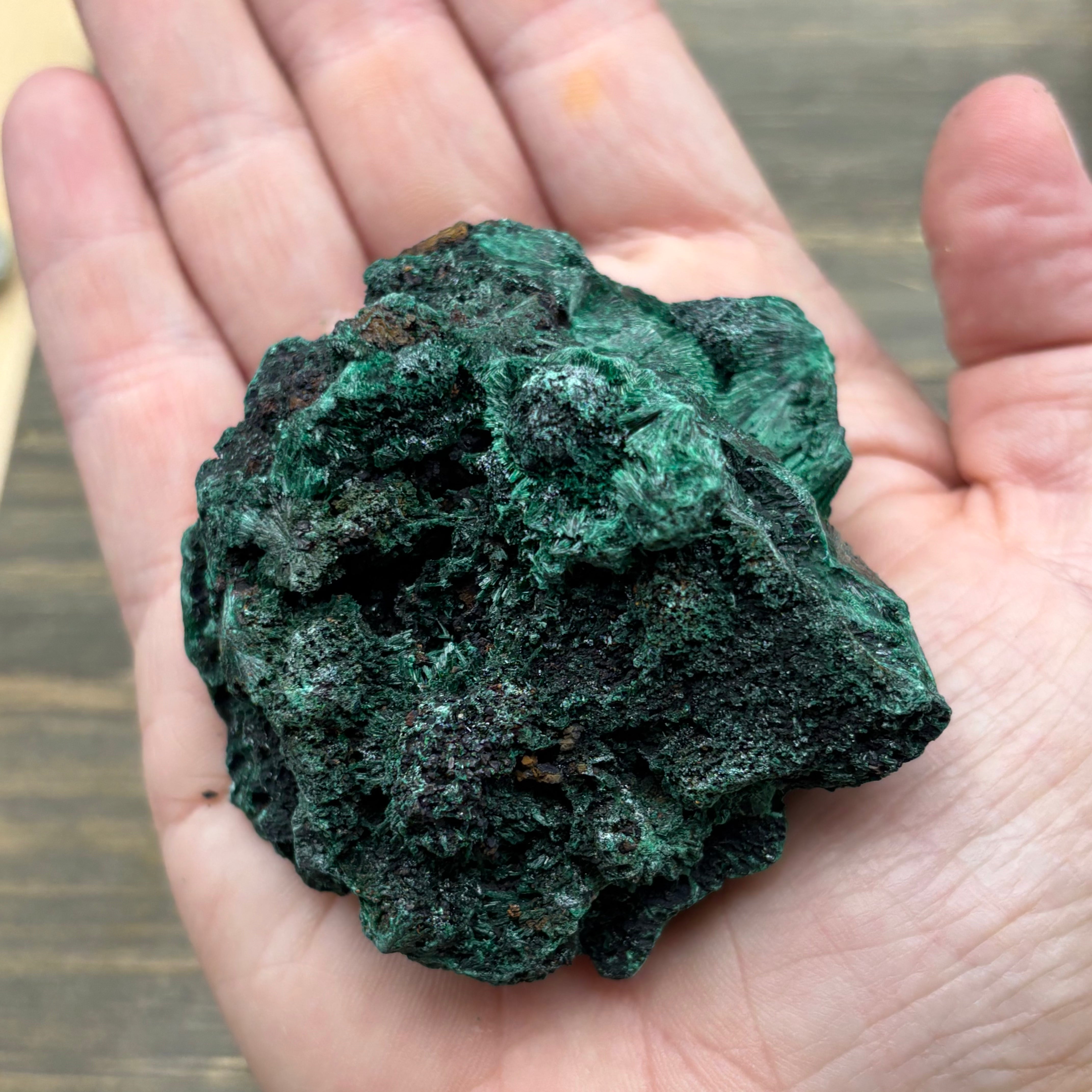 Emperor Malachite - 199