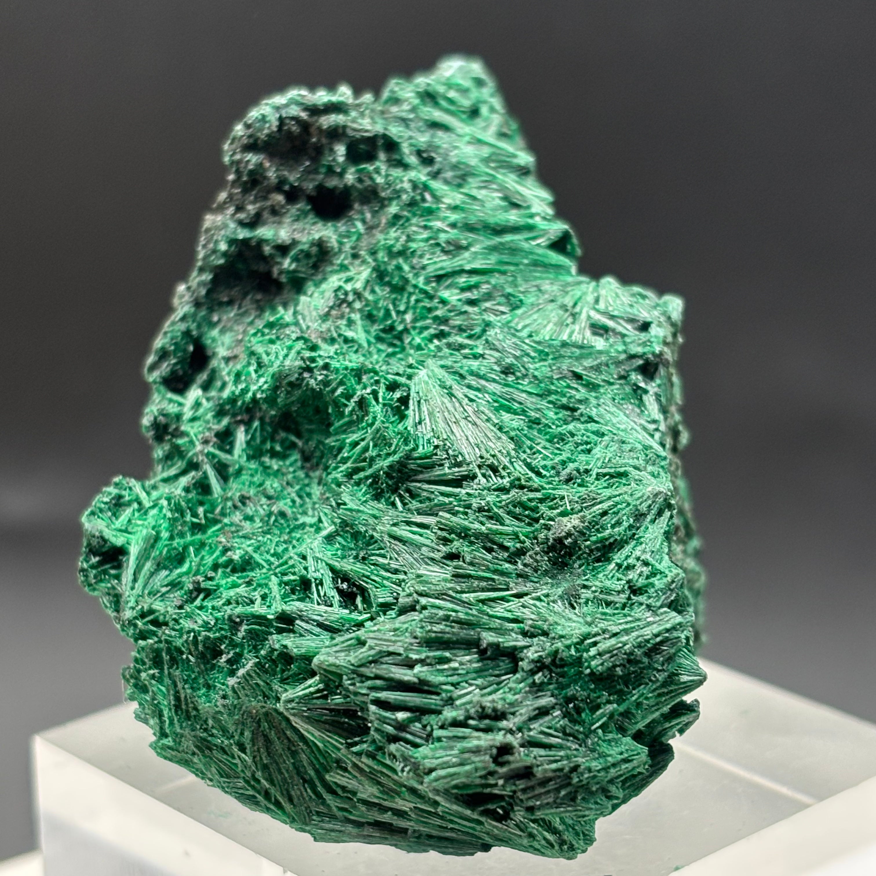 Emperor Malachite - 200