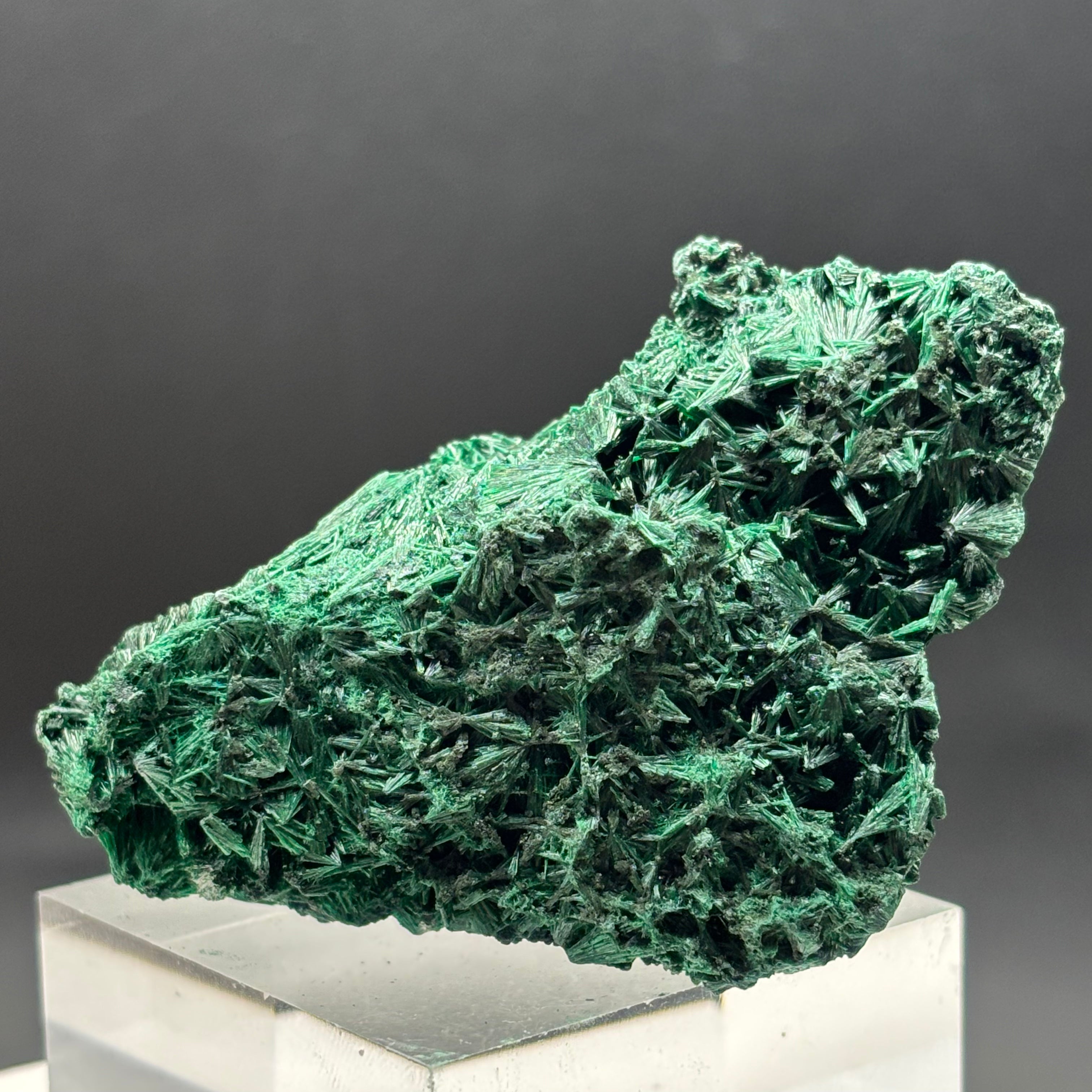 Emperor Malachite - 200
