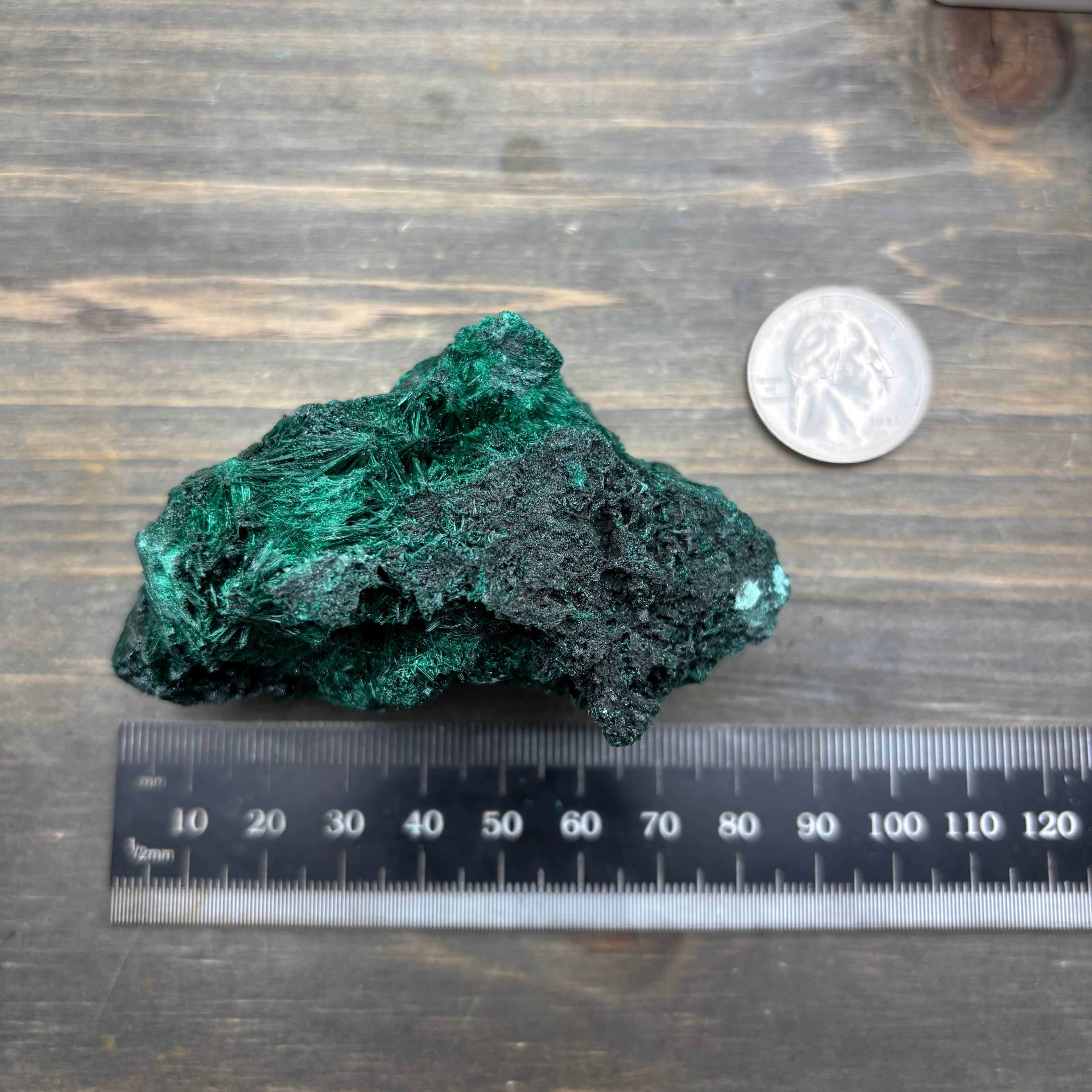 Emperor Malachite - 200