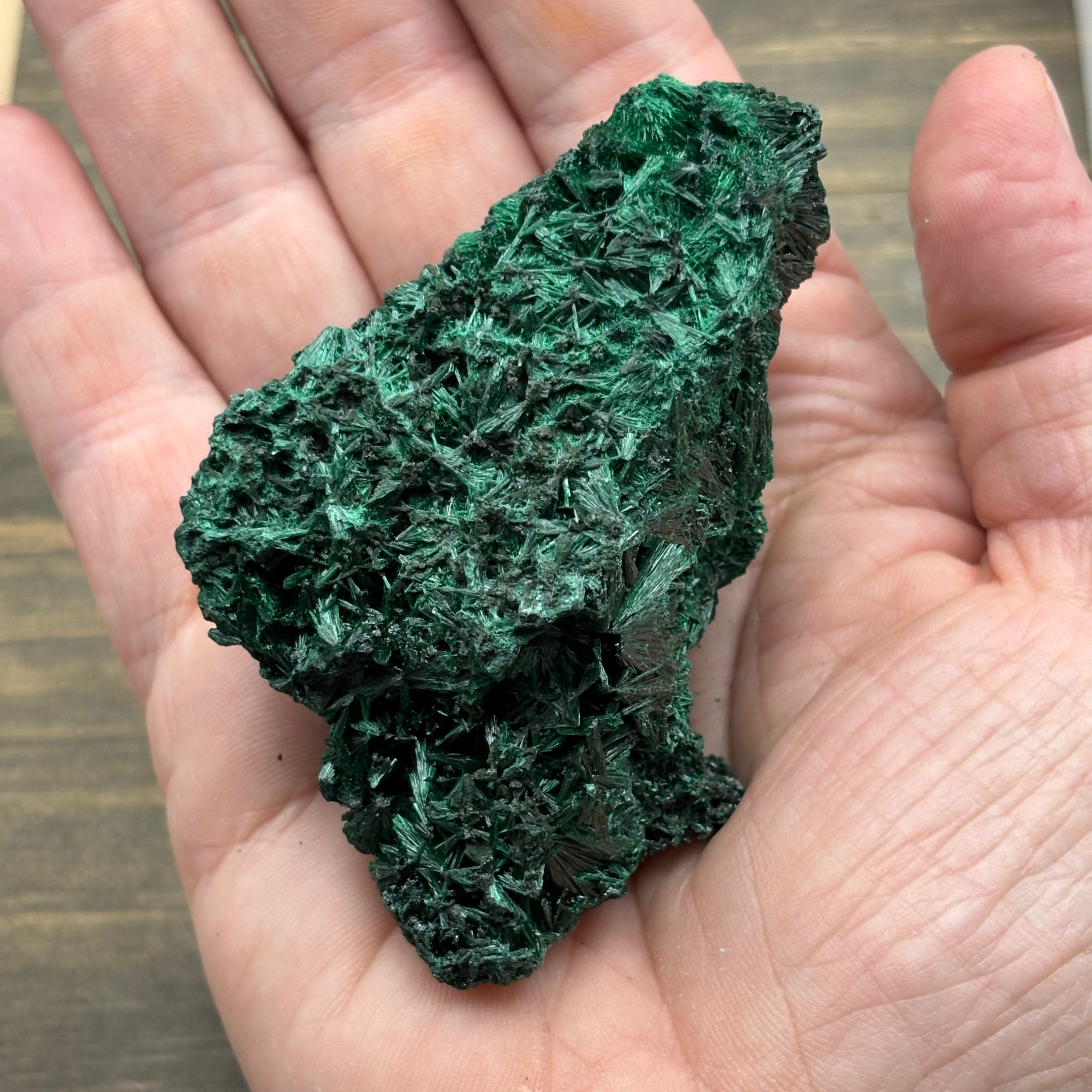 Emperor Malachite - 200