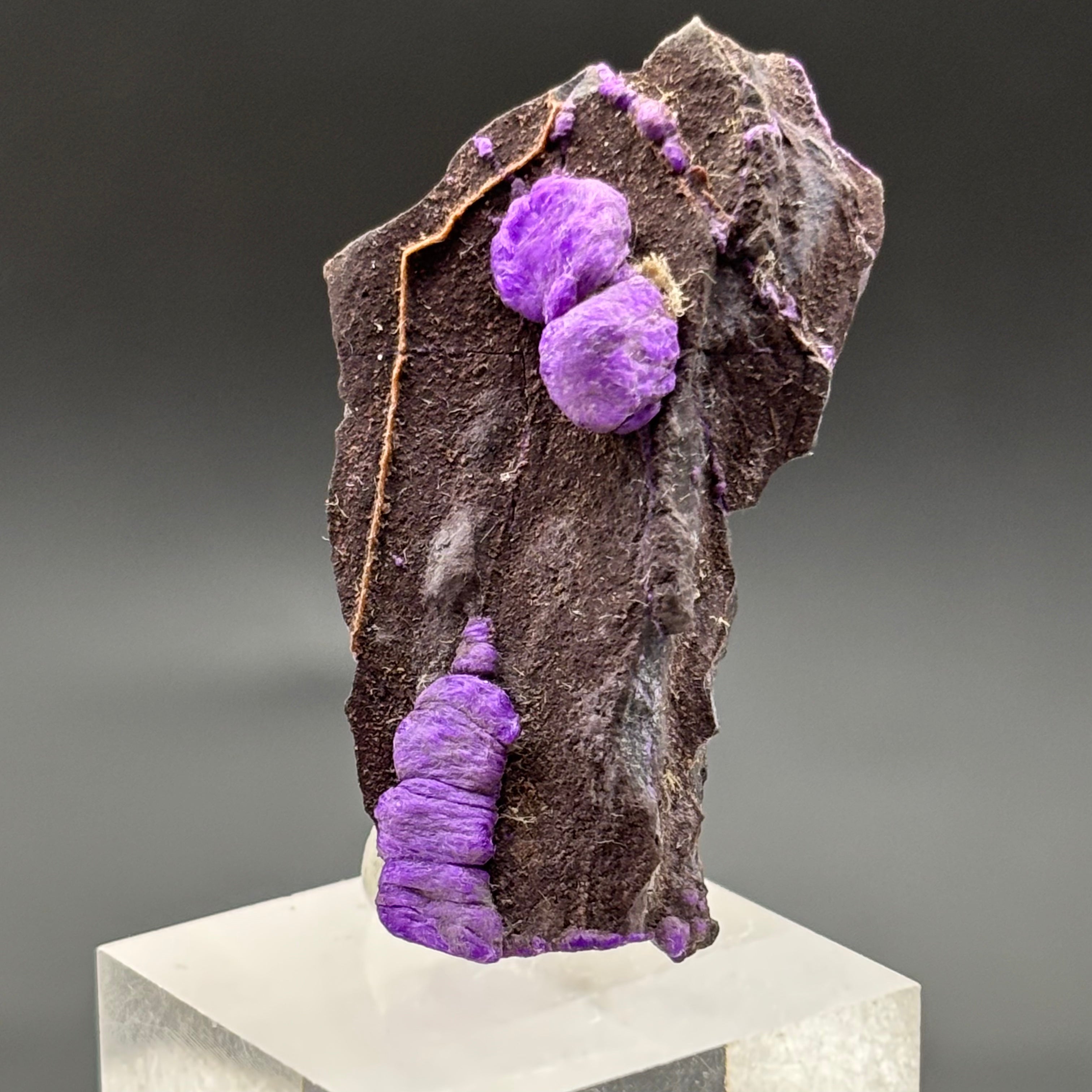 Crystallized Sugilite - 011