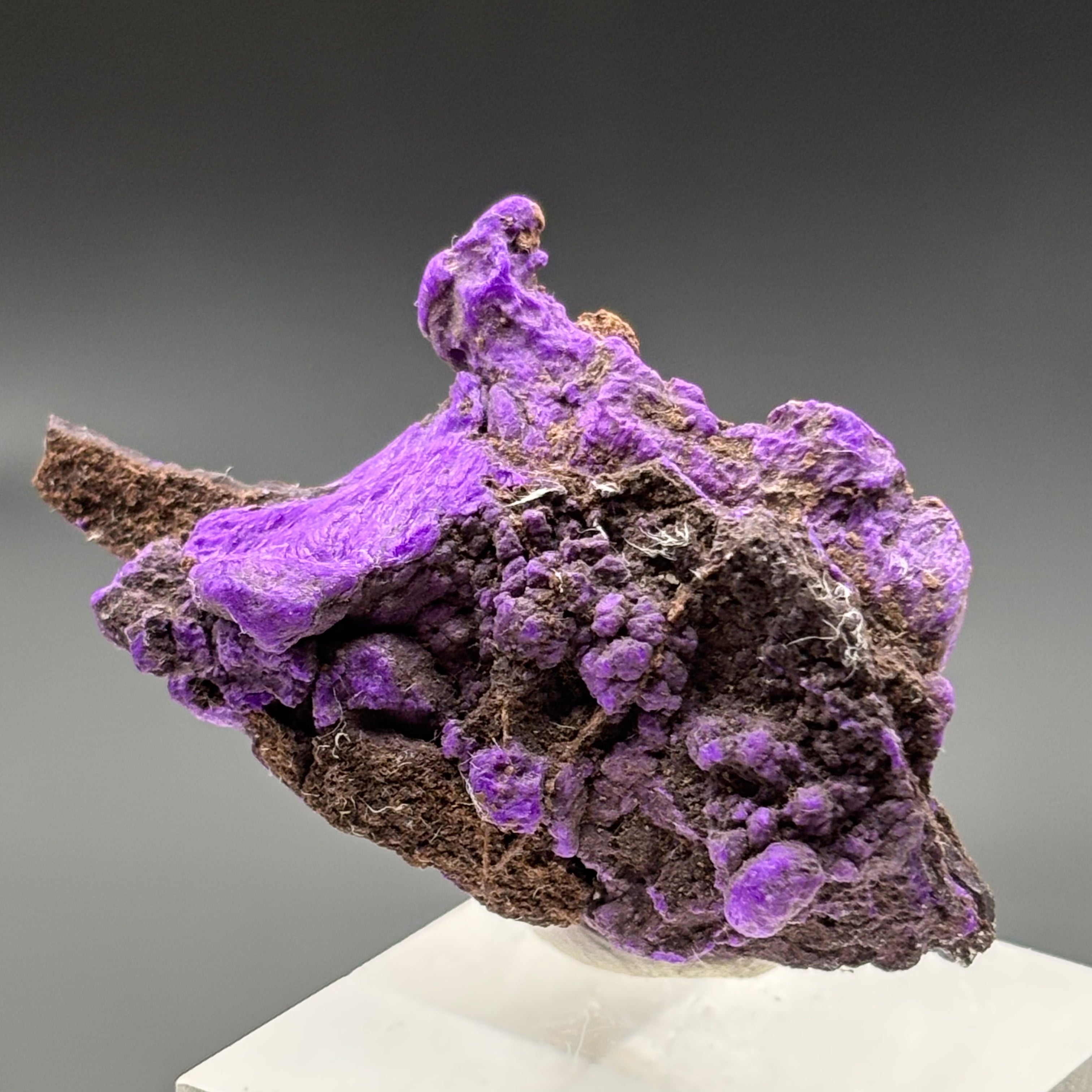 Crystallized Sugilite - 012