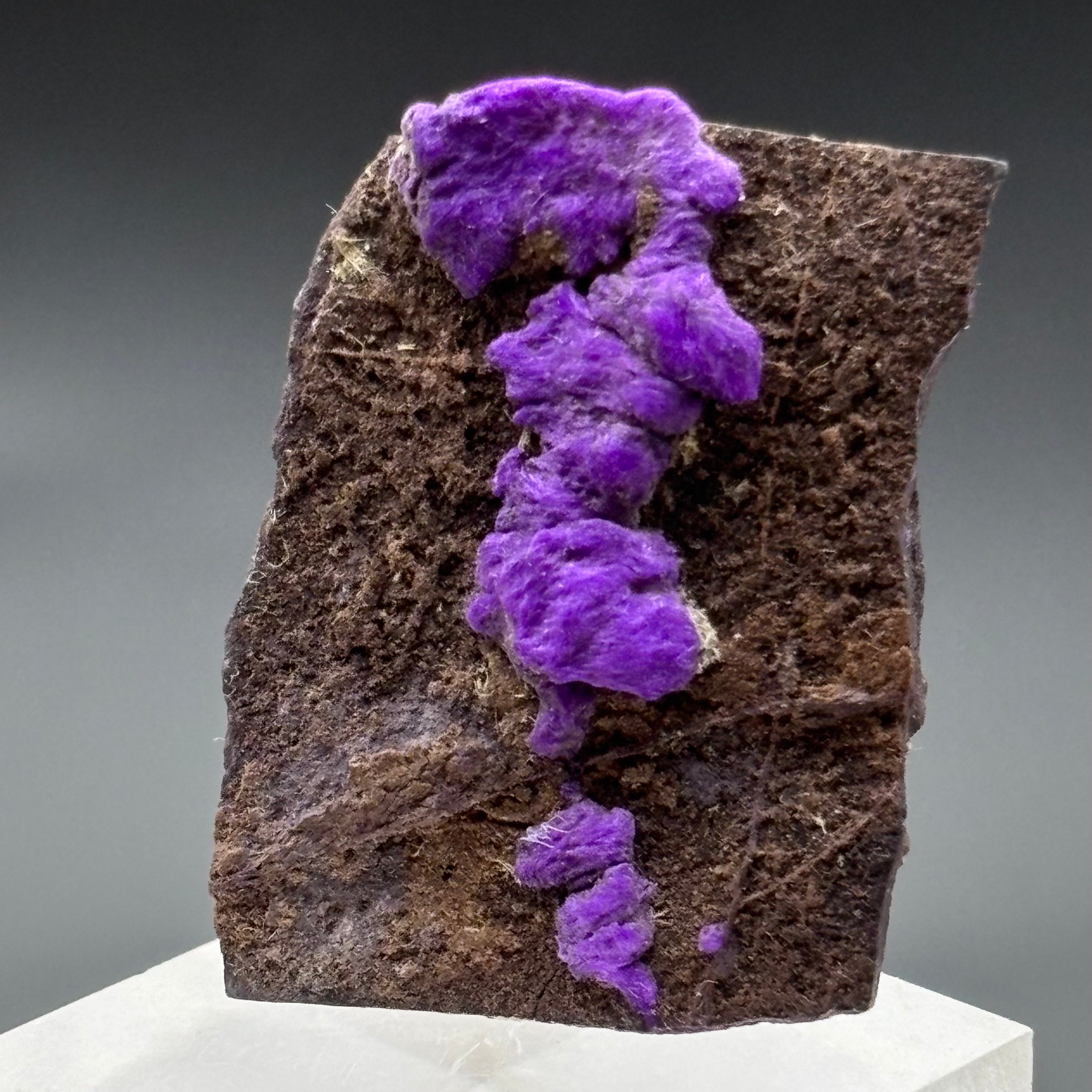 Crystallized Sugilite - 013