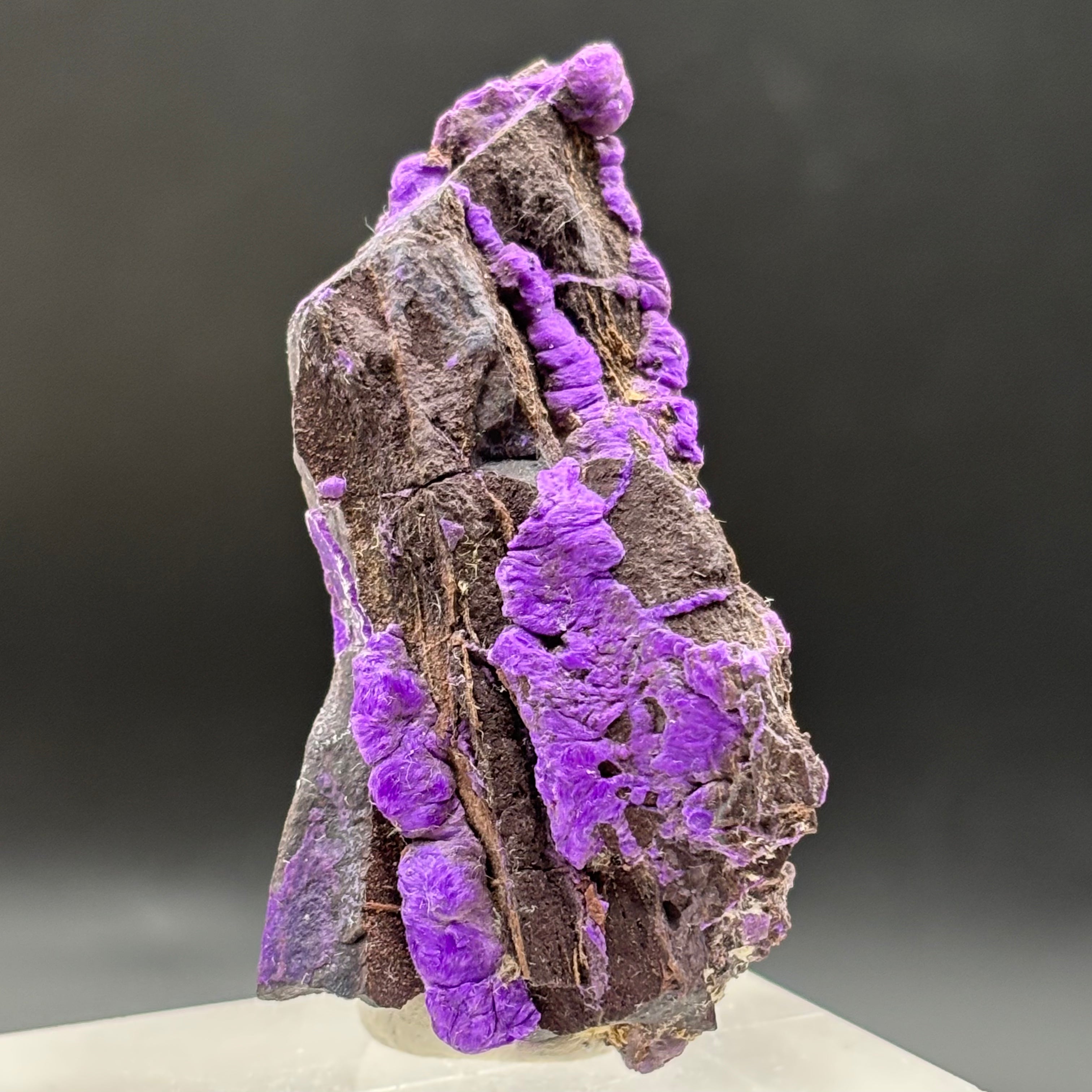 Crystallized Sugilite - 030