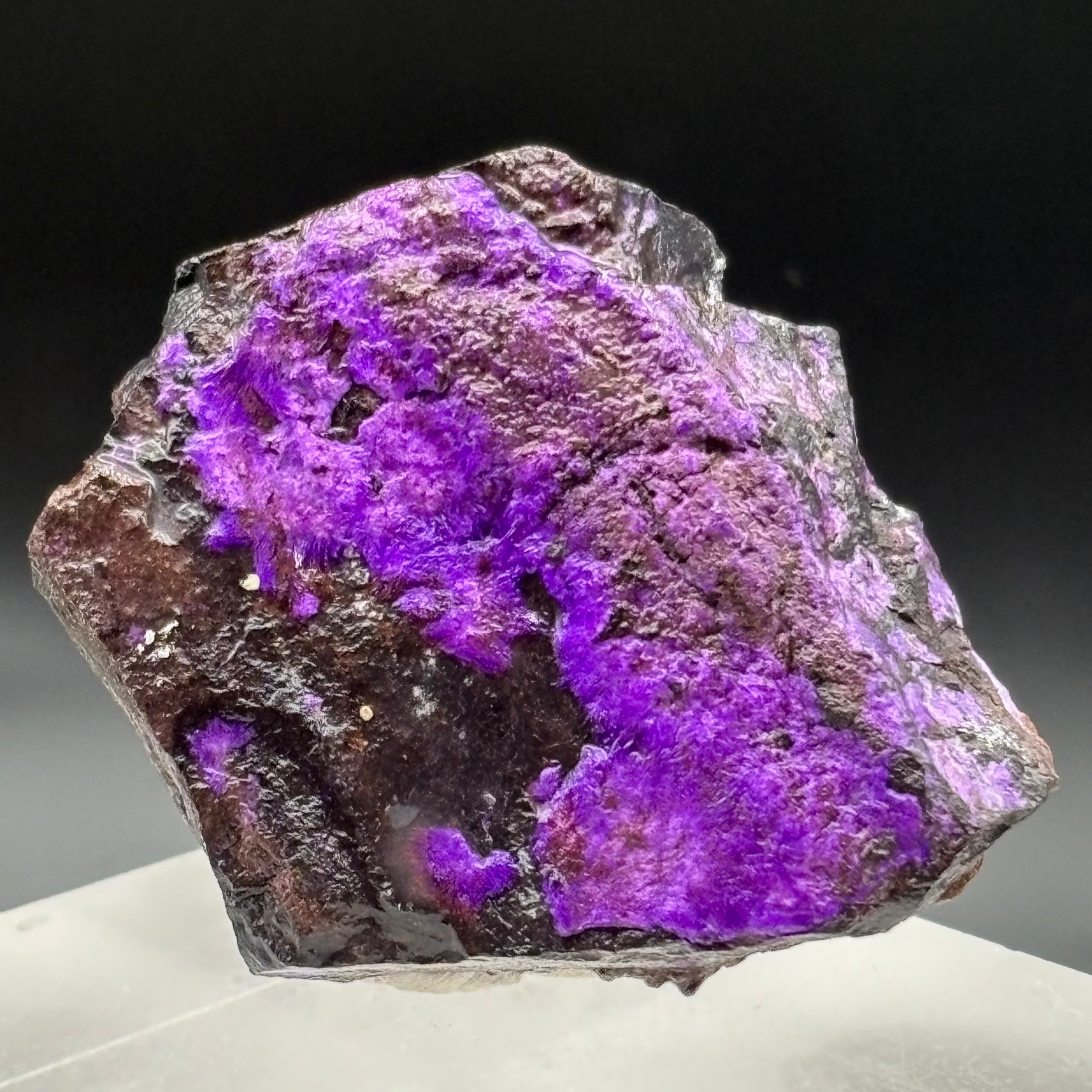 Crystallized Sugilite - 033