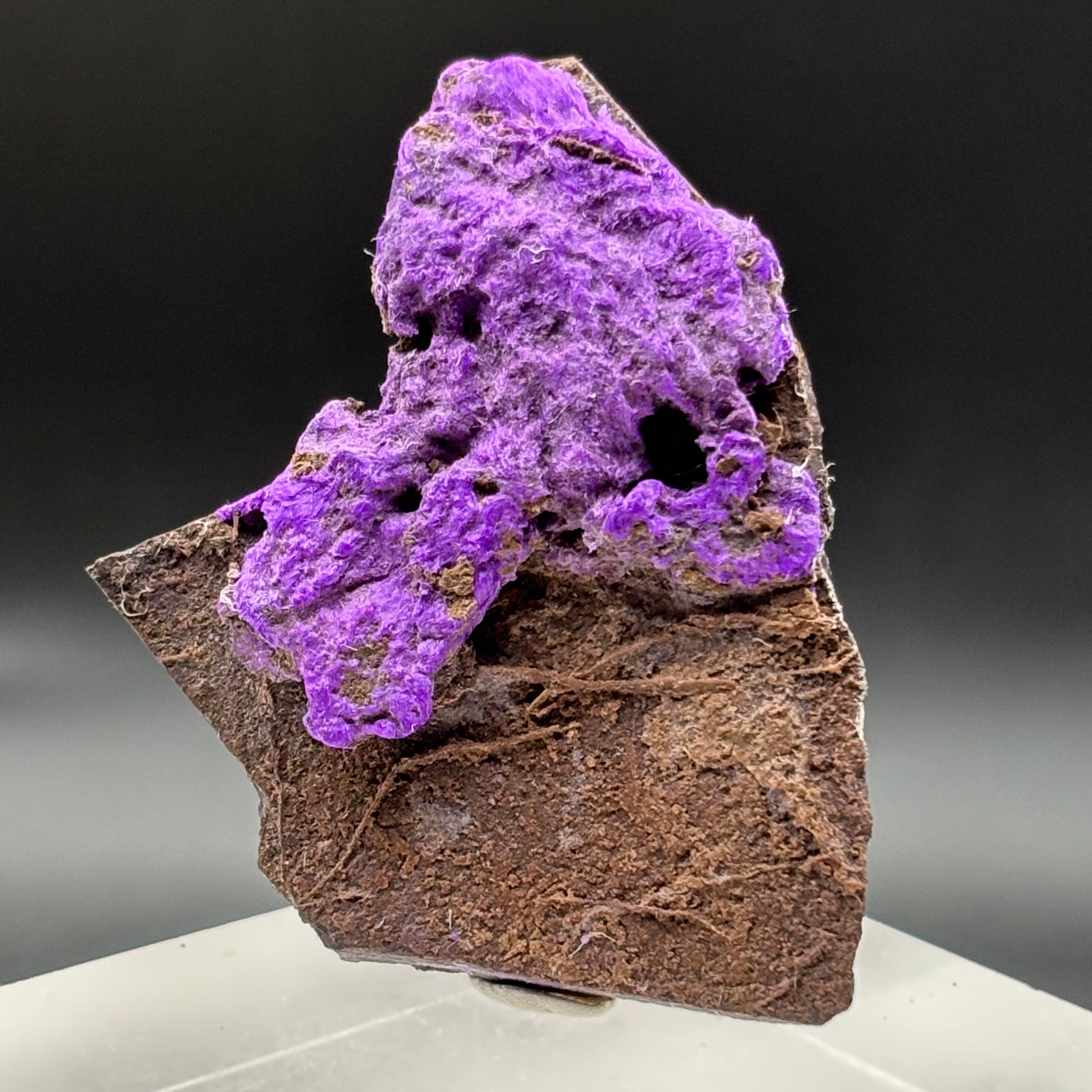 Crystallized Sugilite - 037