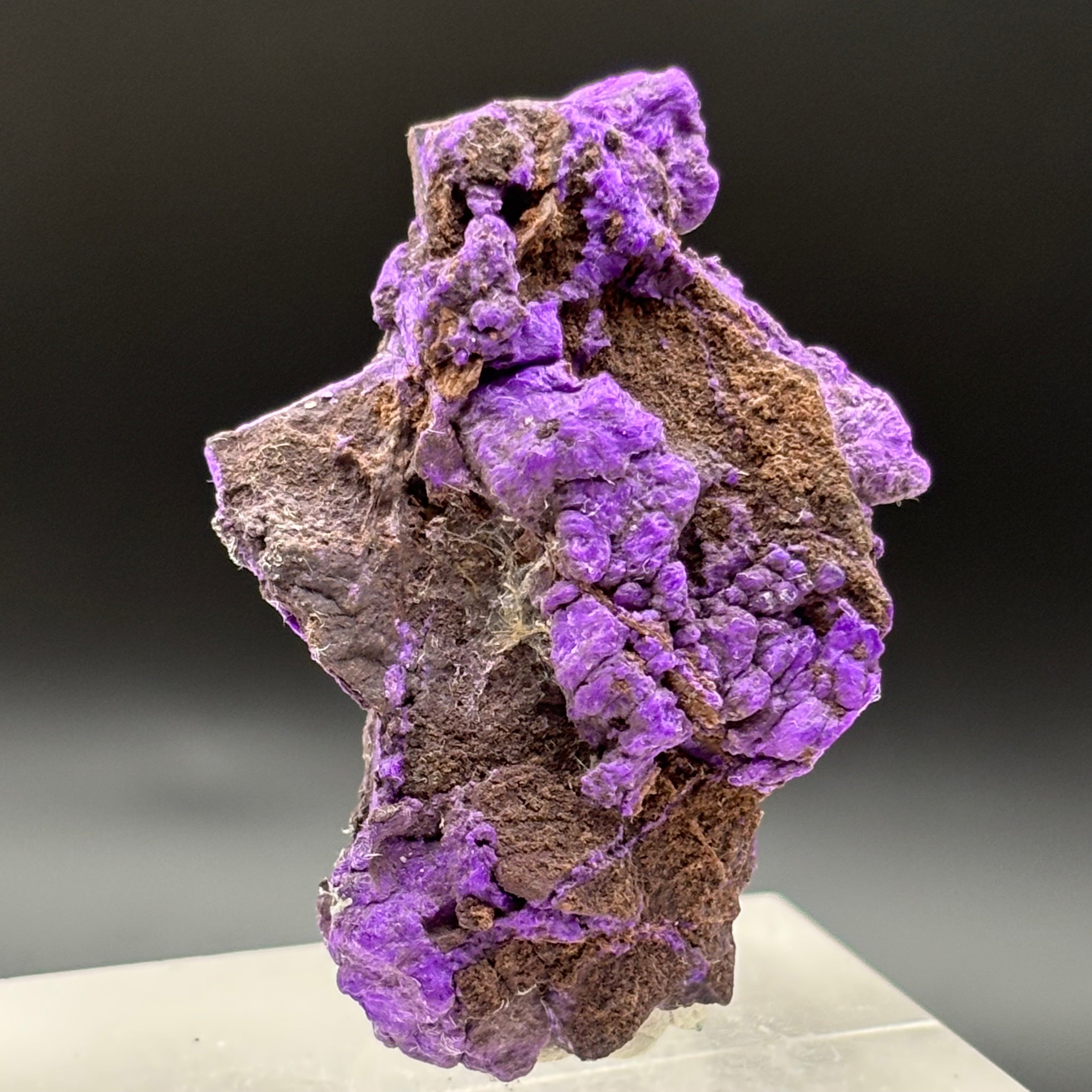 Crystallized Sugilite - 039