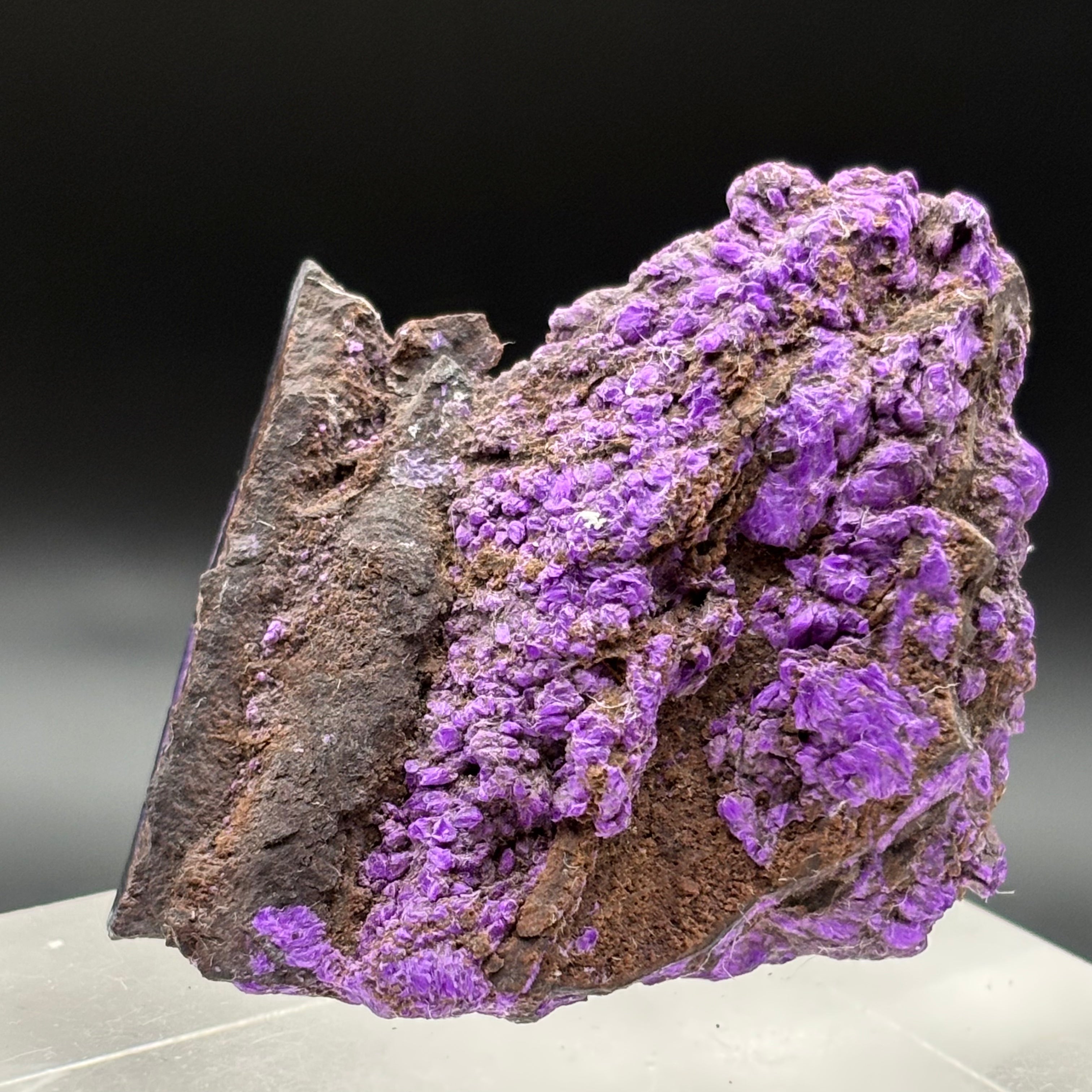 Crystallized Sugilite - 042