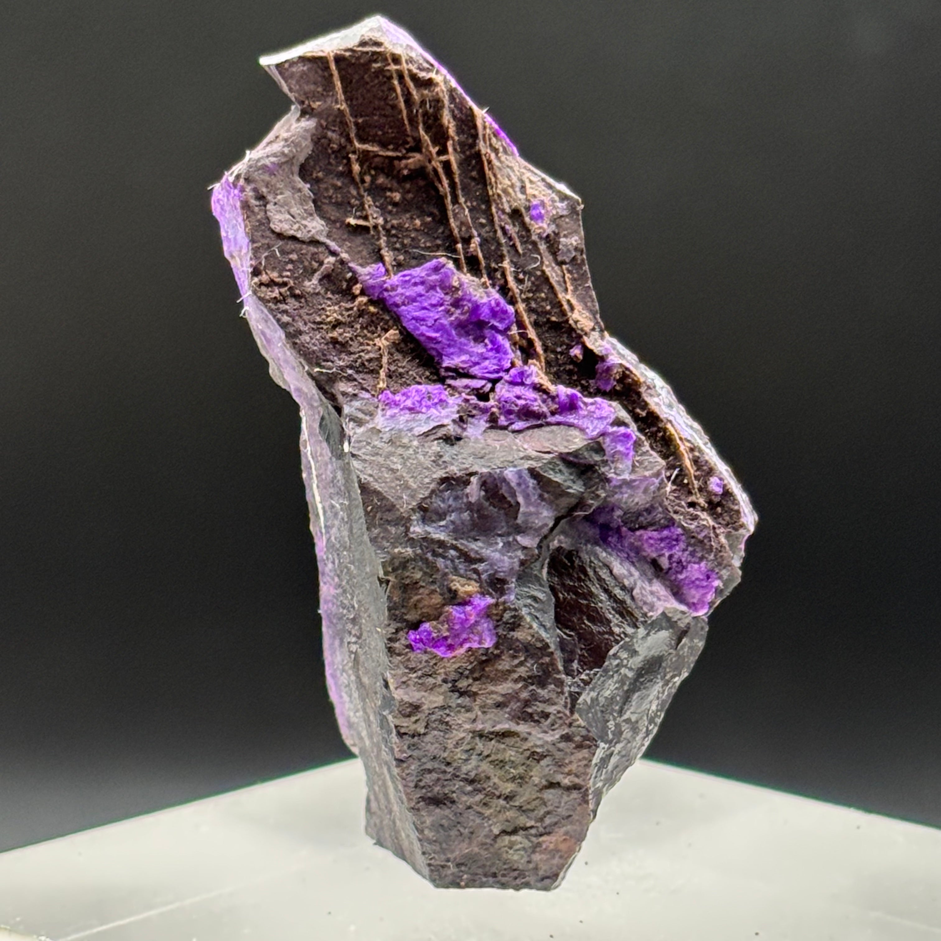 Crystallized Sugilite - 044