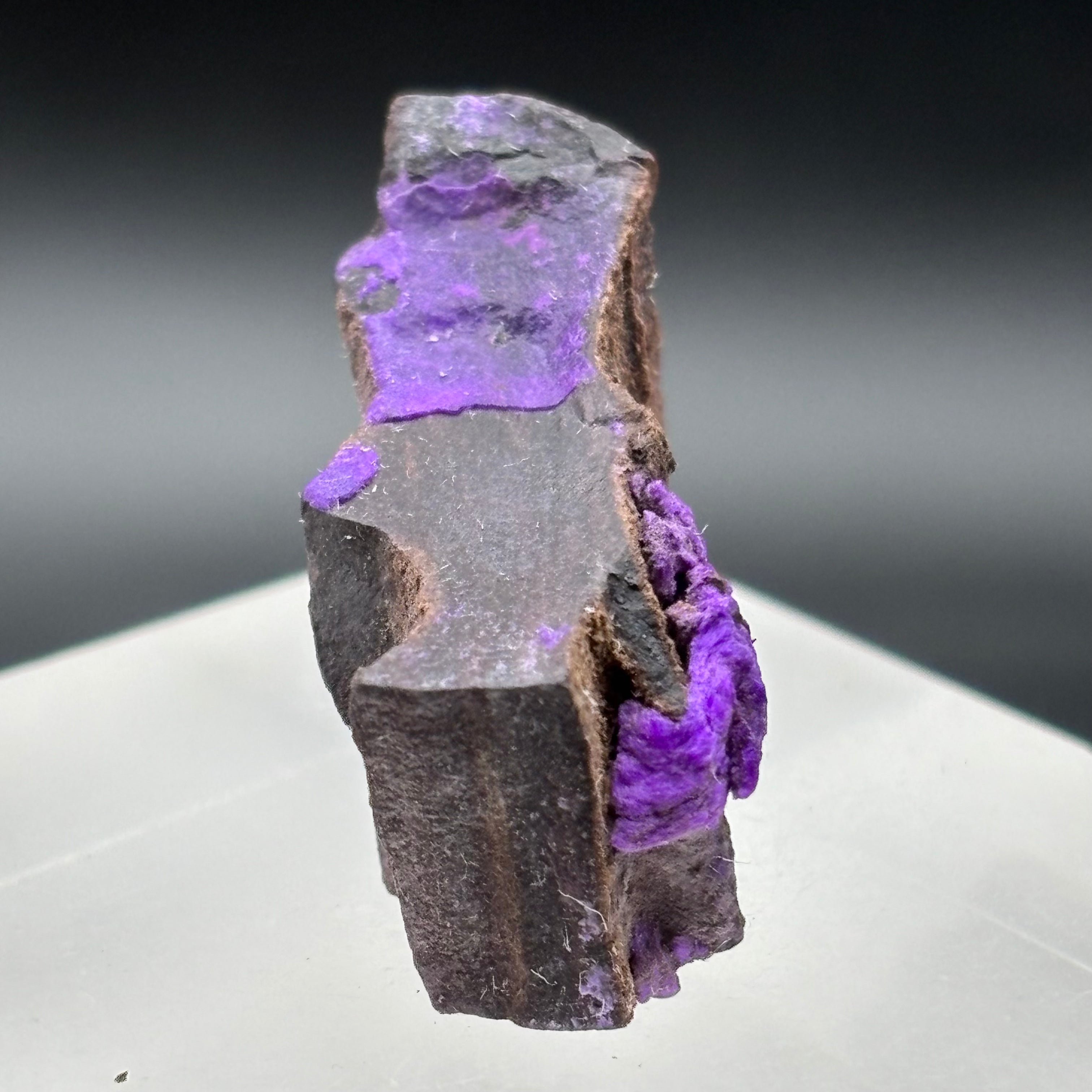 Crystallized Sugilite - 047