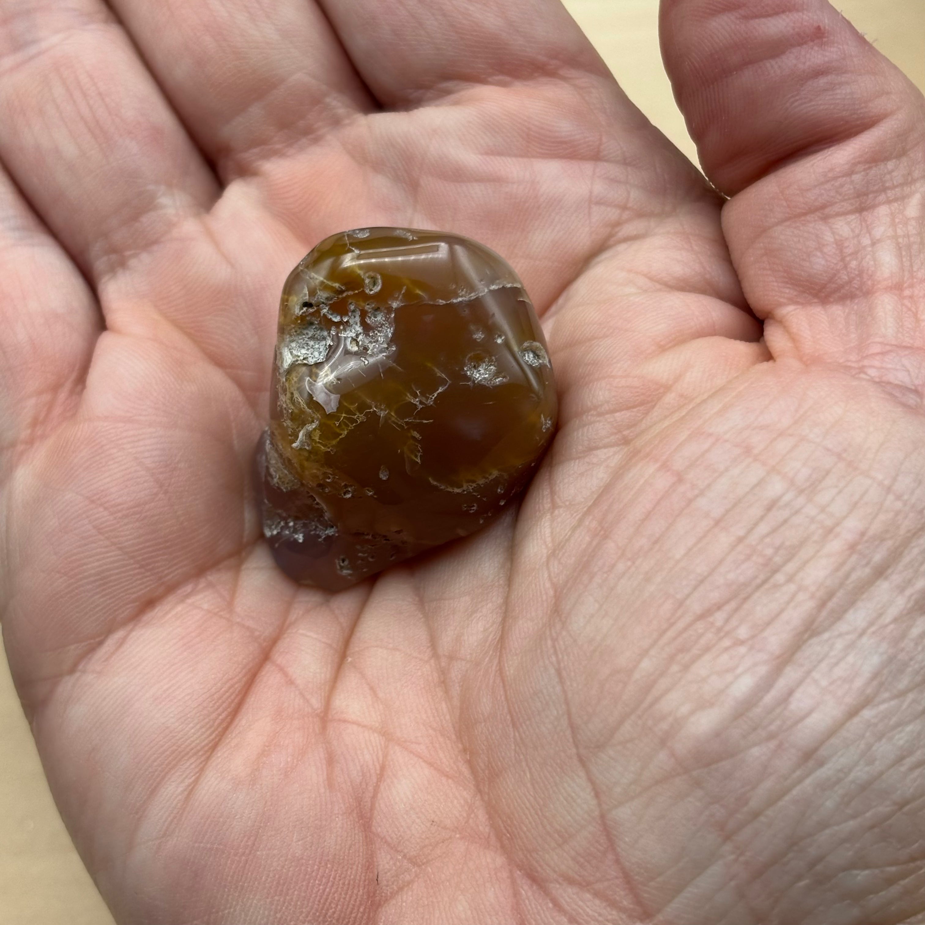 Laguna Agate - 002