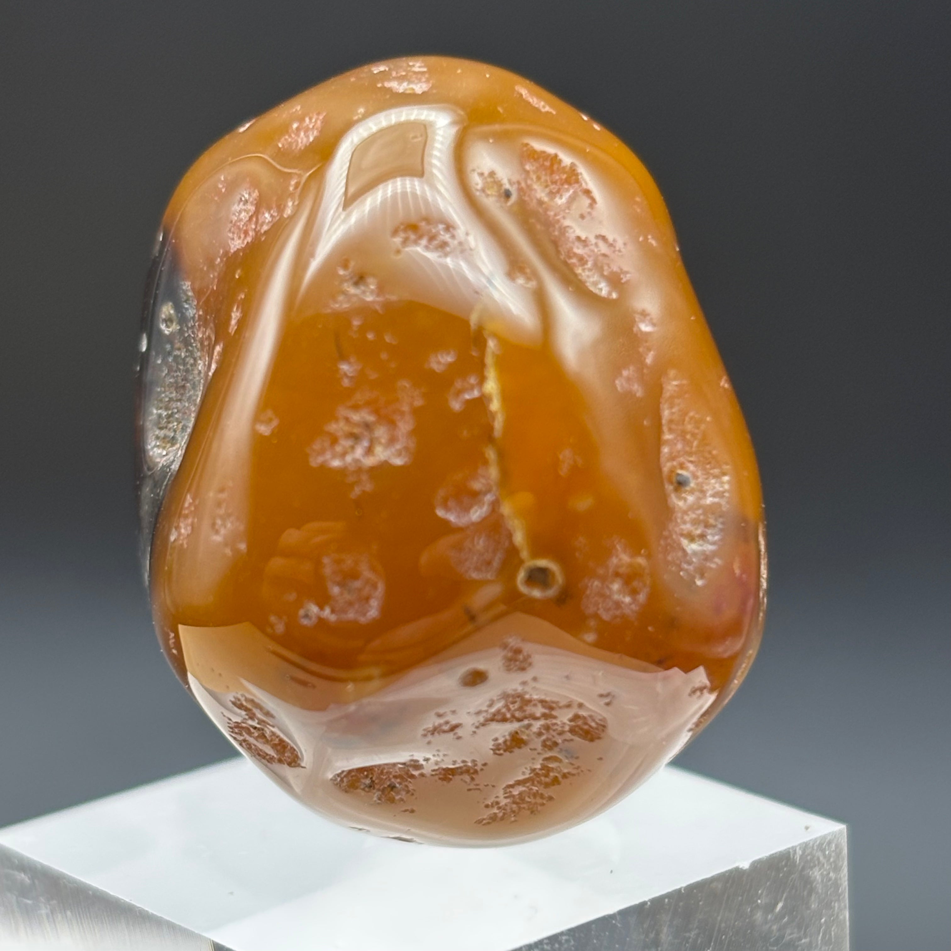 Laguna Agate - 003