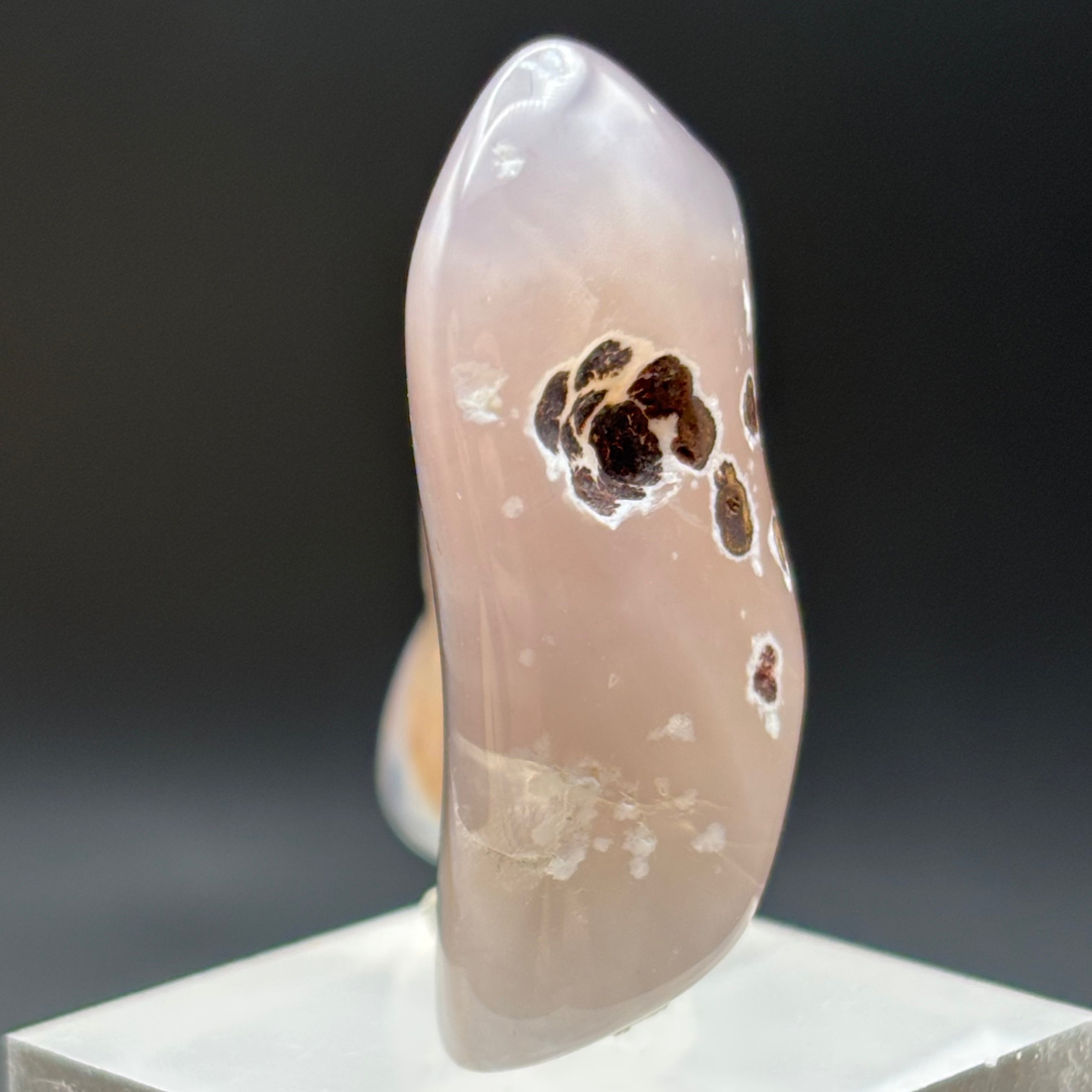 Laguna Agate - 010