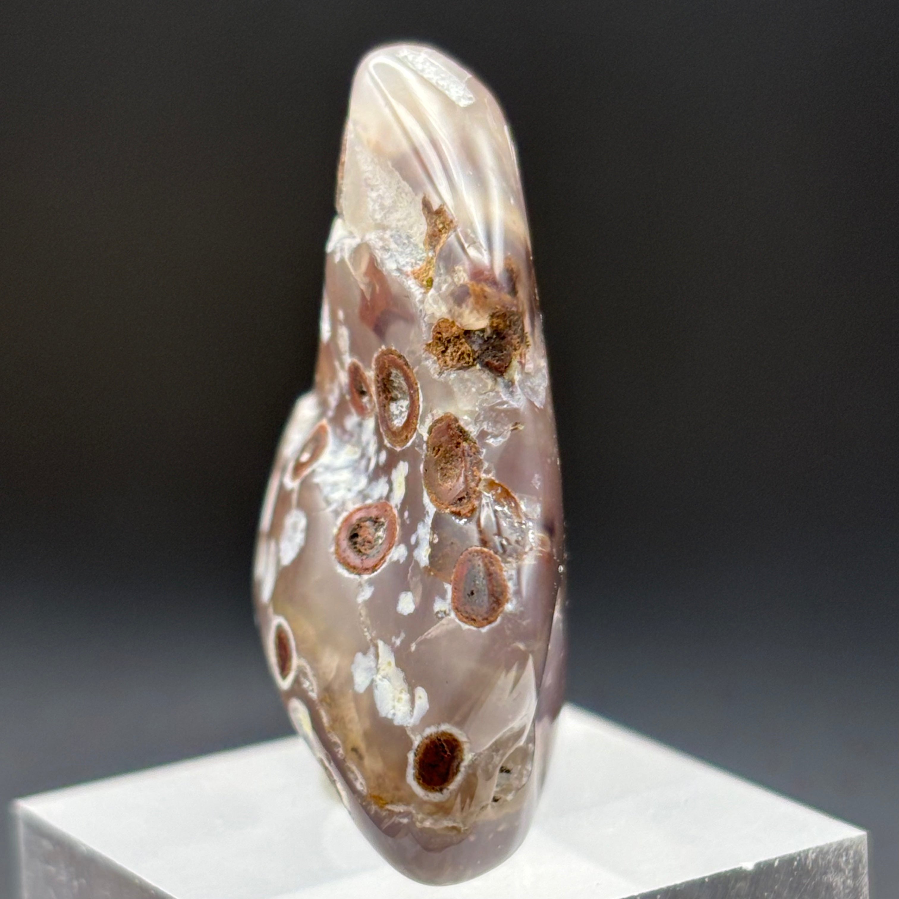 Laguna Agate - 011