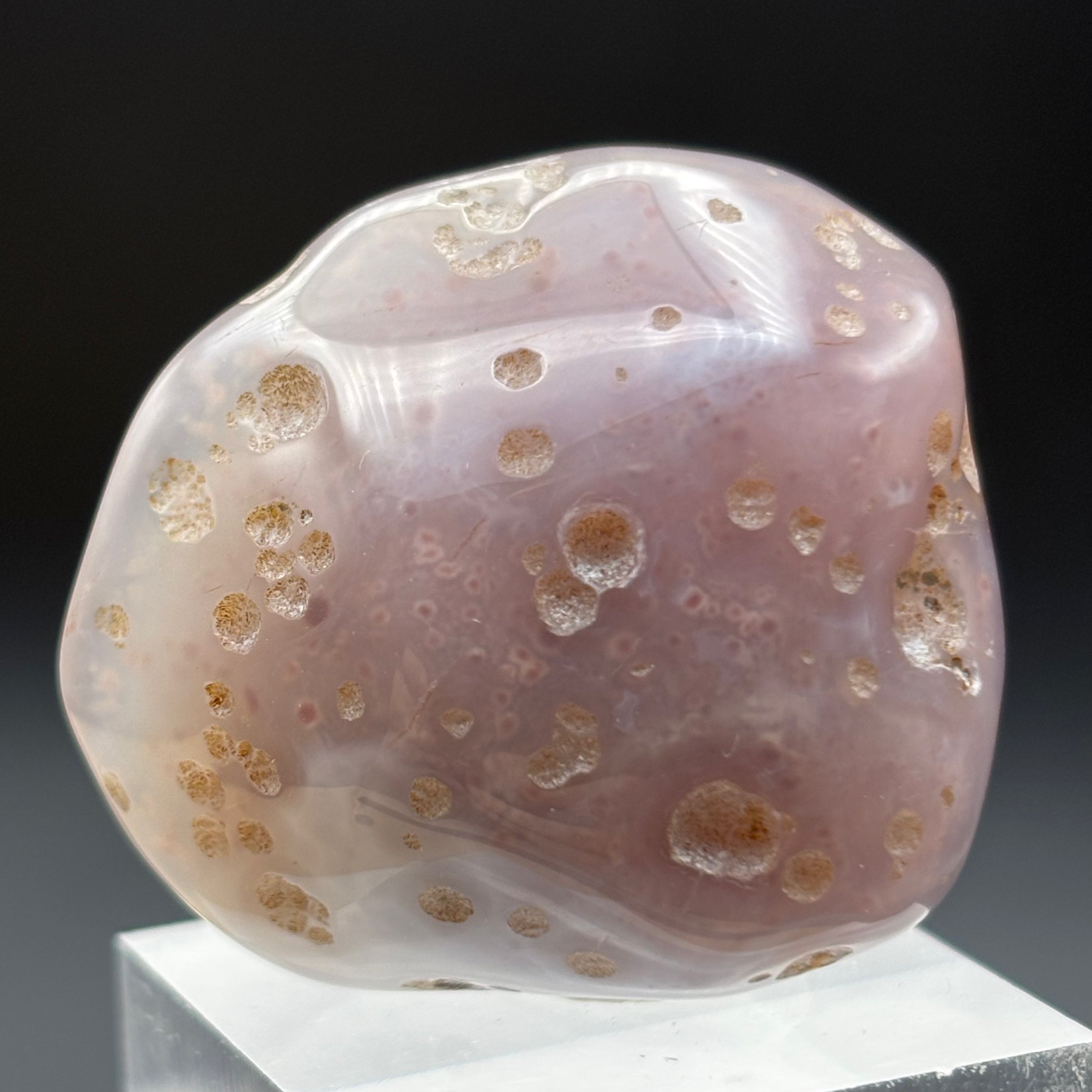 Laguna Agate - 017