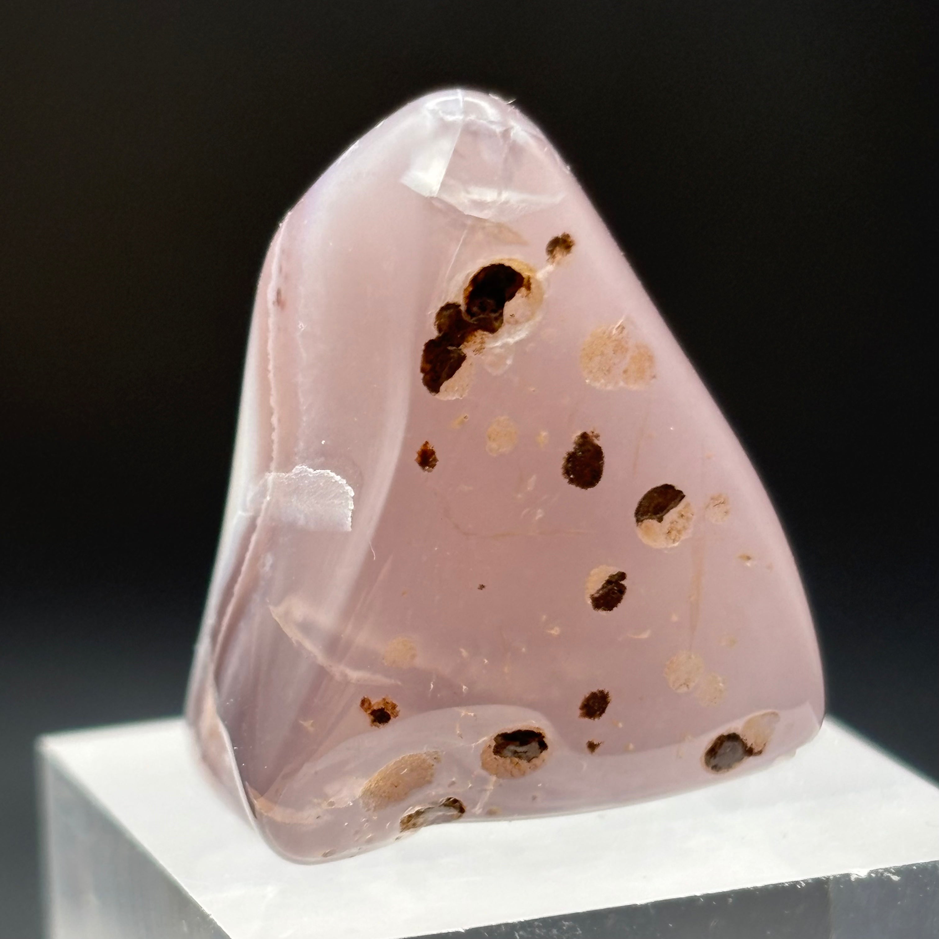 Laguna Agate - 018