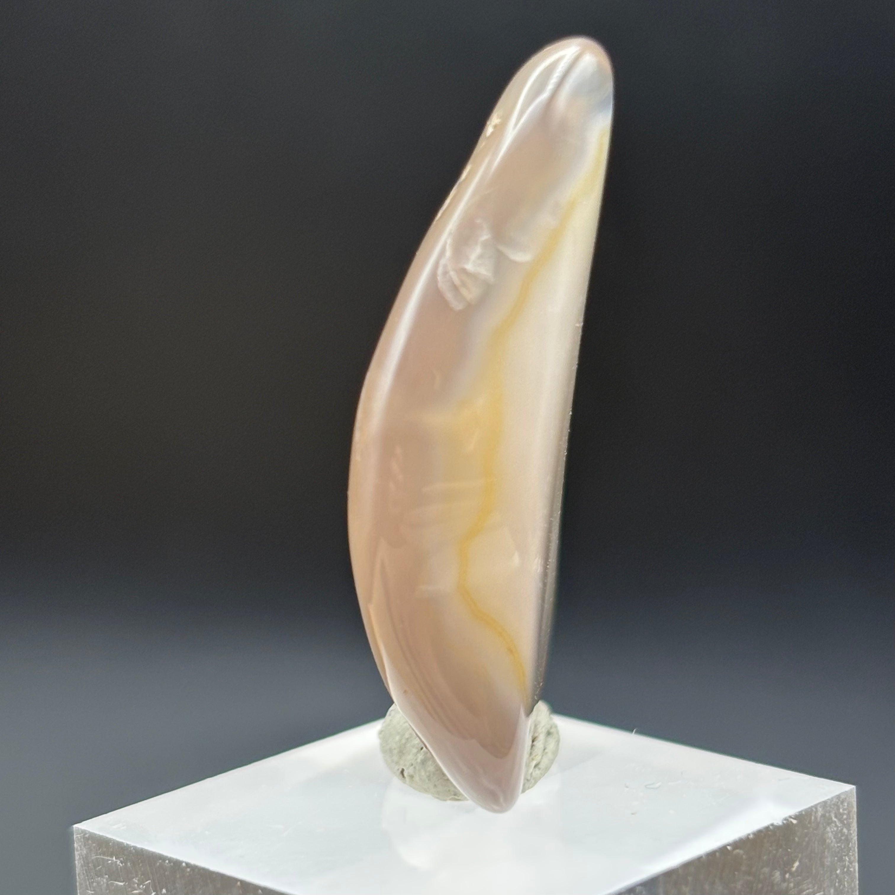 Laguna Agate - 020
