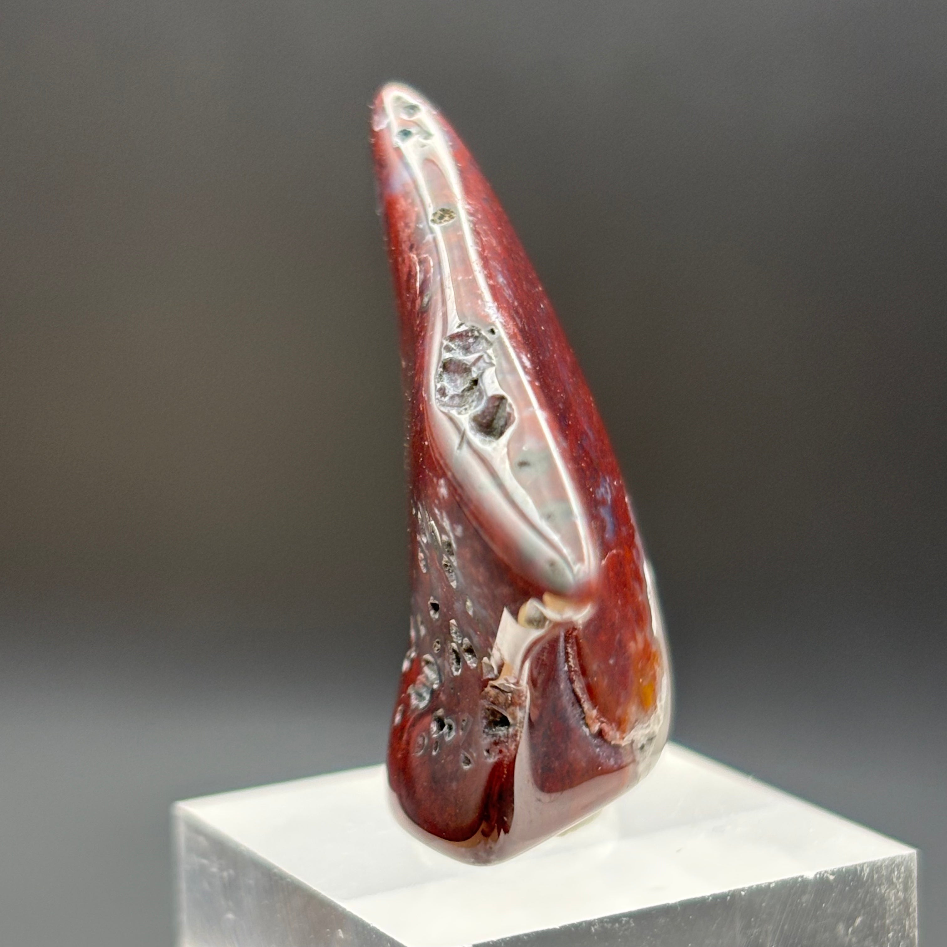Laguna Agate - 021