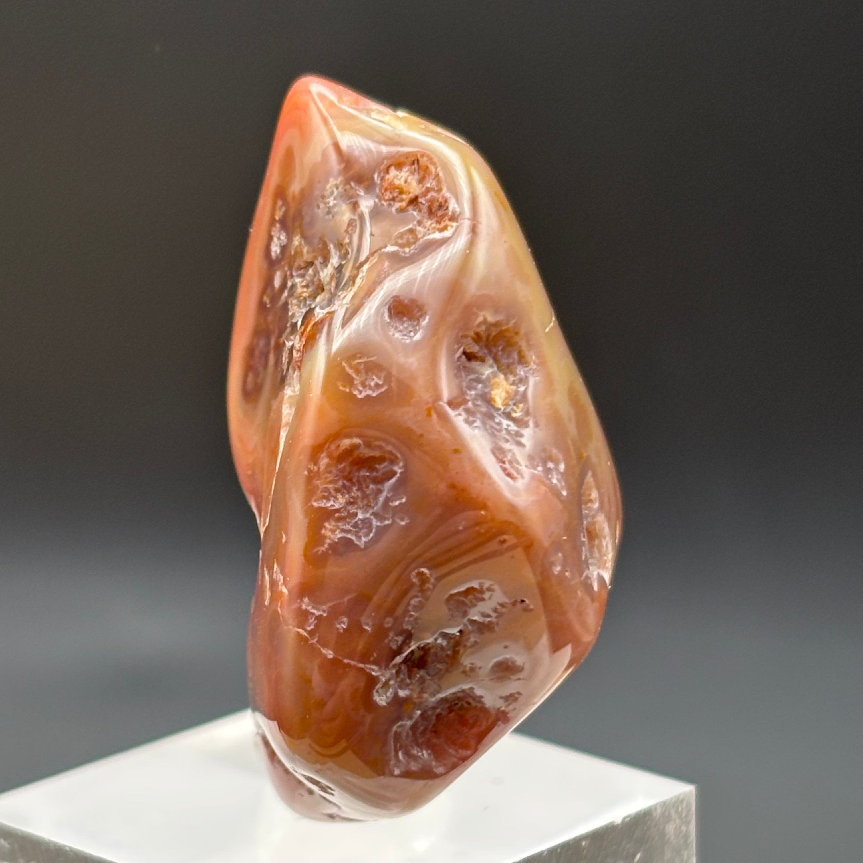 Laguna Agate - 024