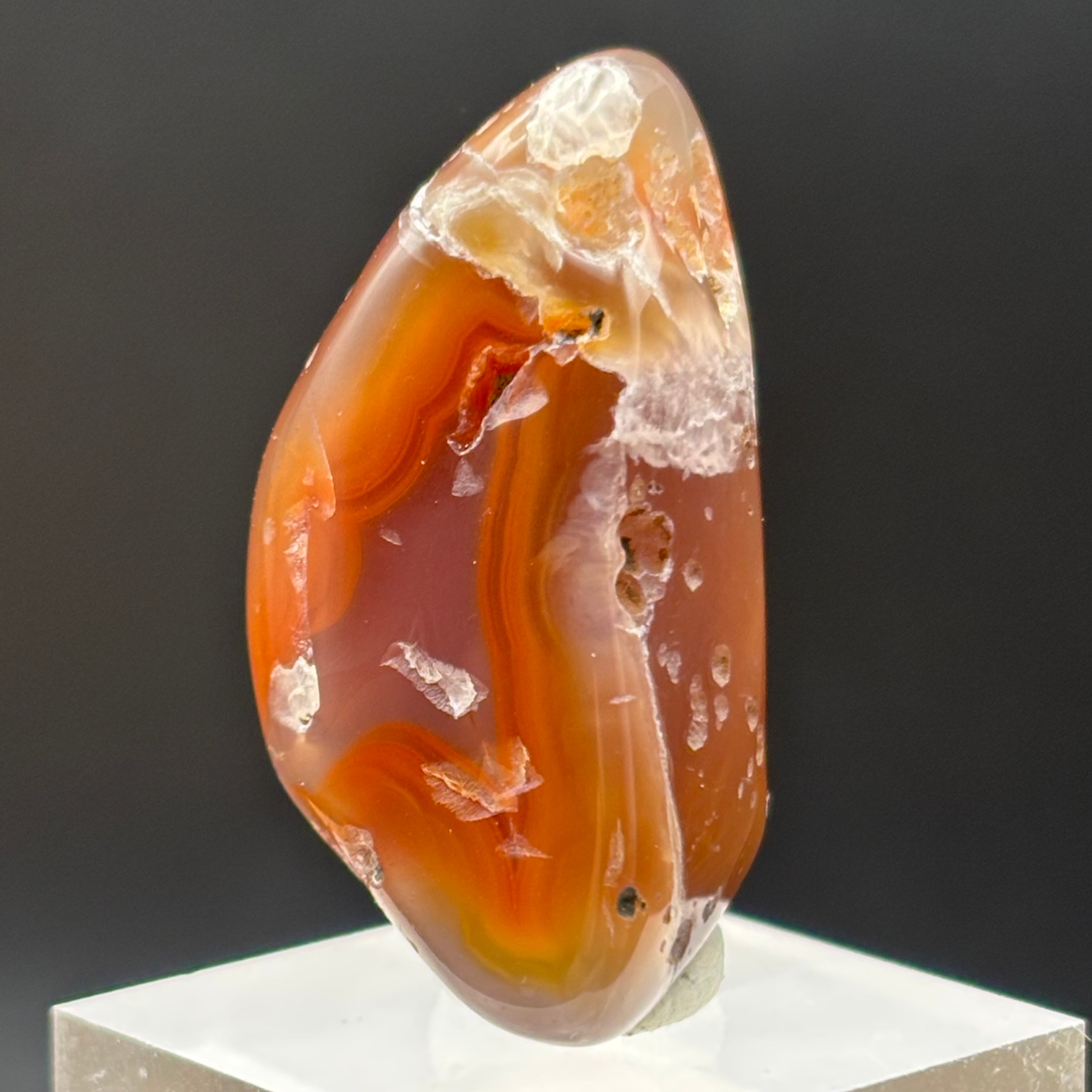 Laguna Agate - 058