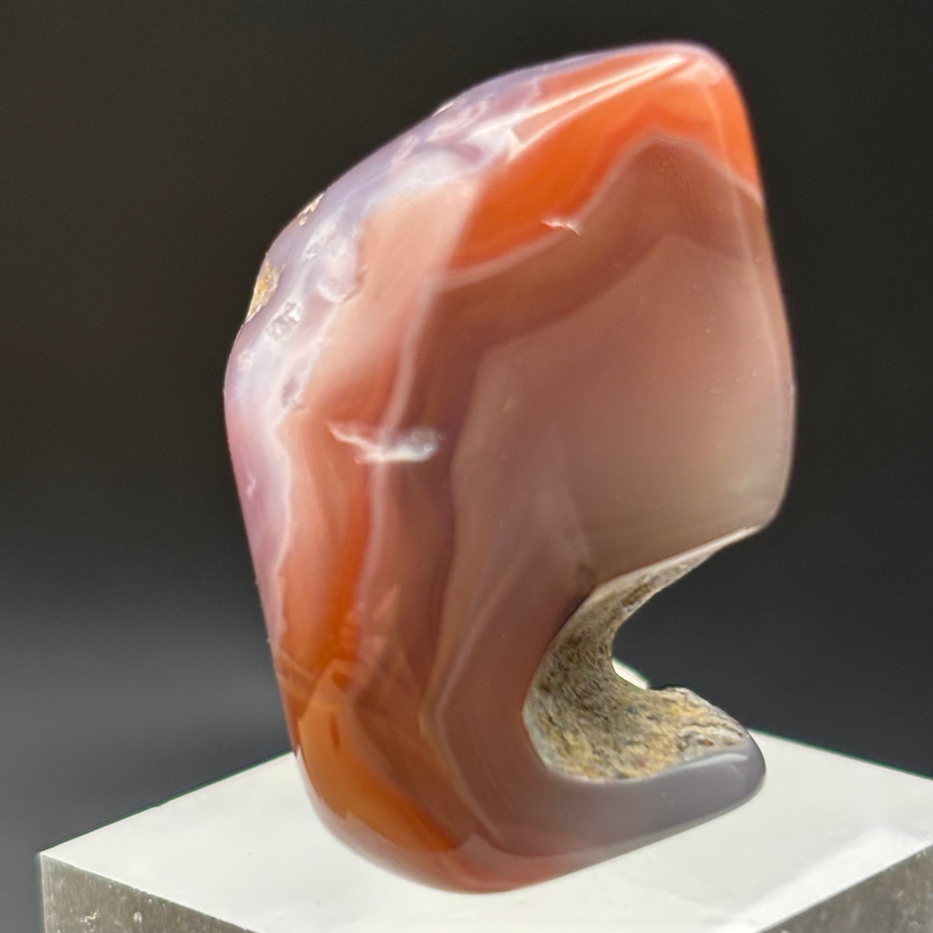 Laguna Agate - 065