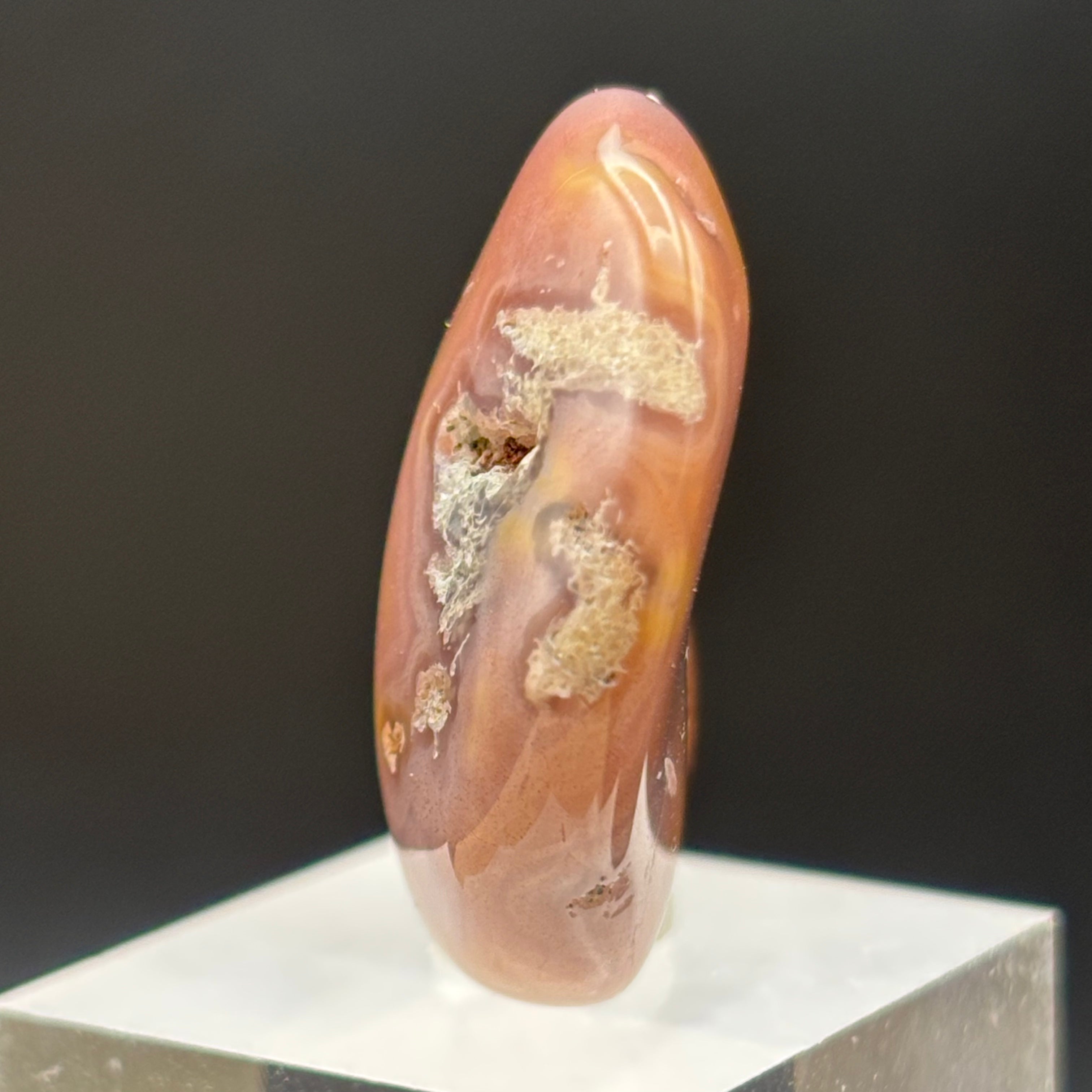 Laguna Agate - 067