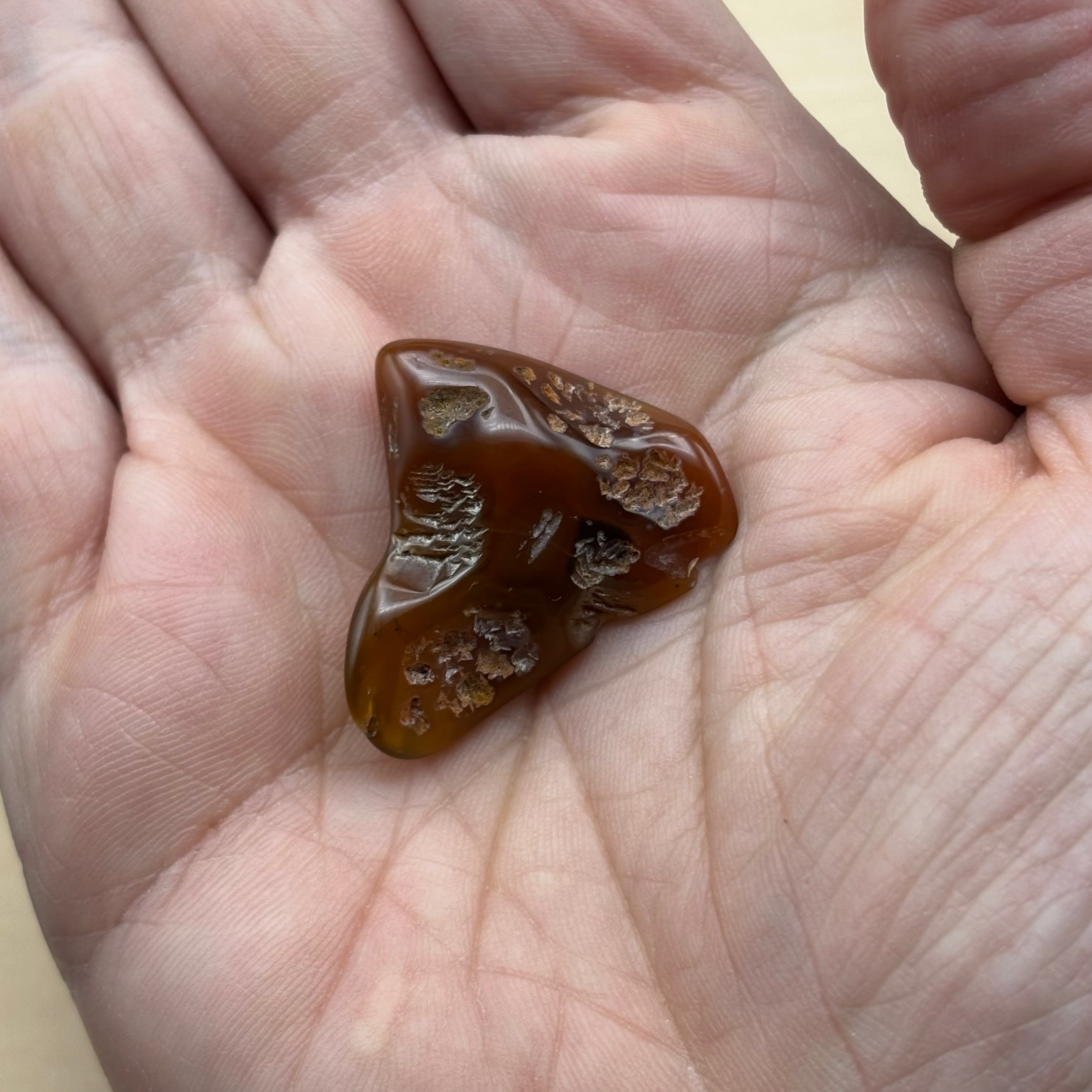 Laguna Agate - 114