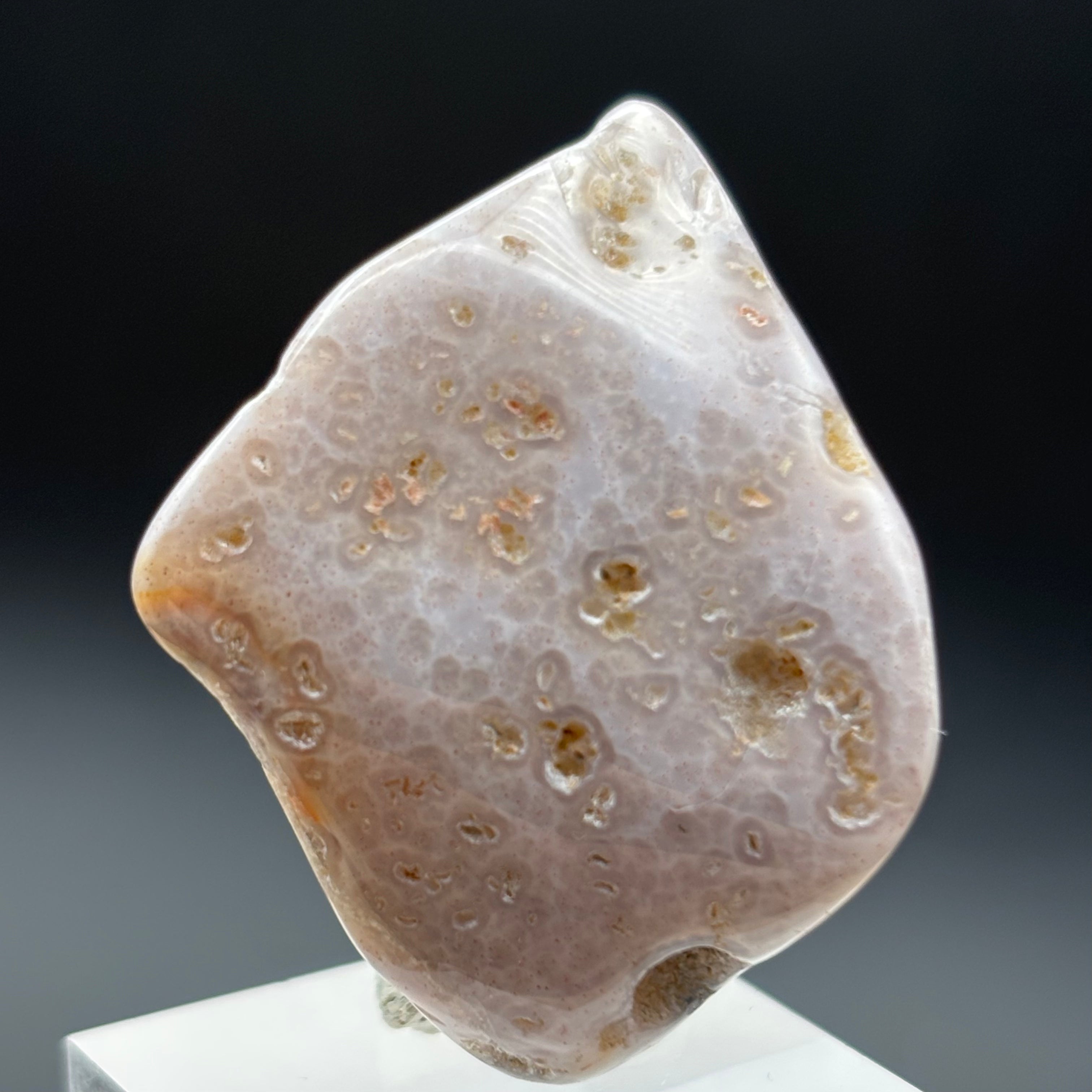 Laguna Agate - 156