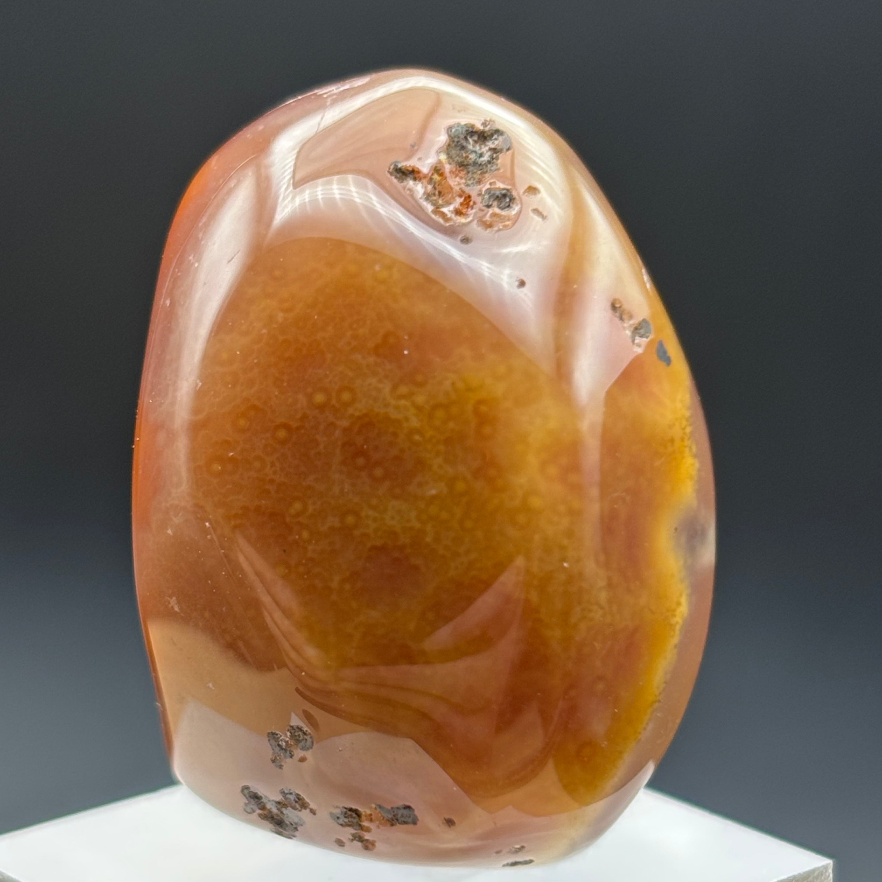 Laguna Agate - 161