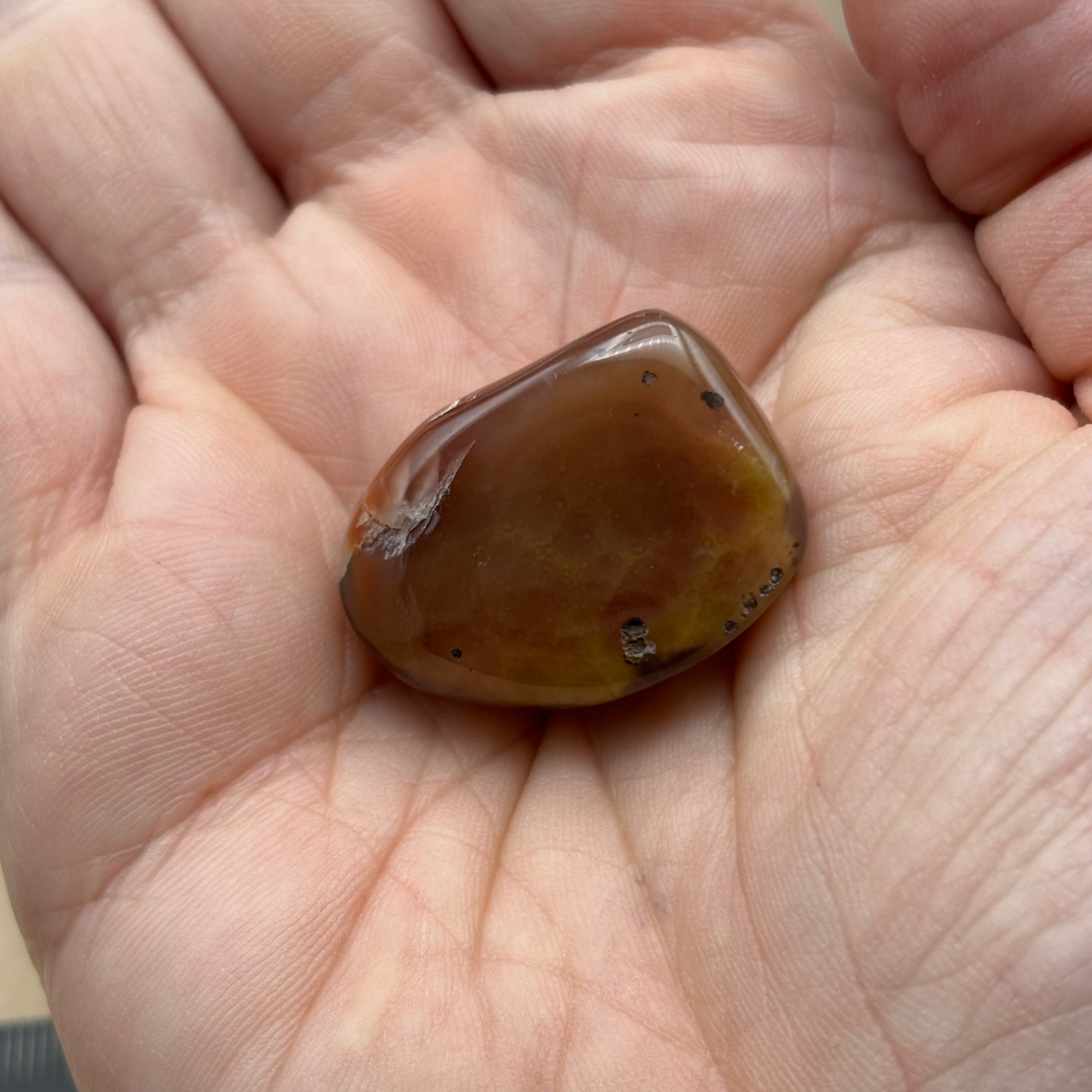 Laguna Agate - 161