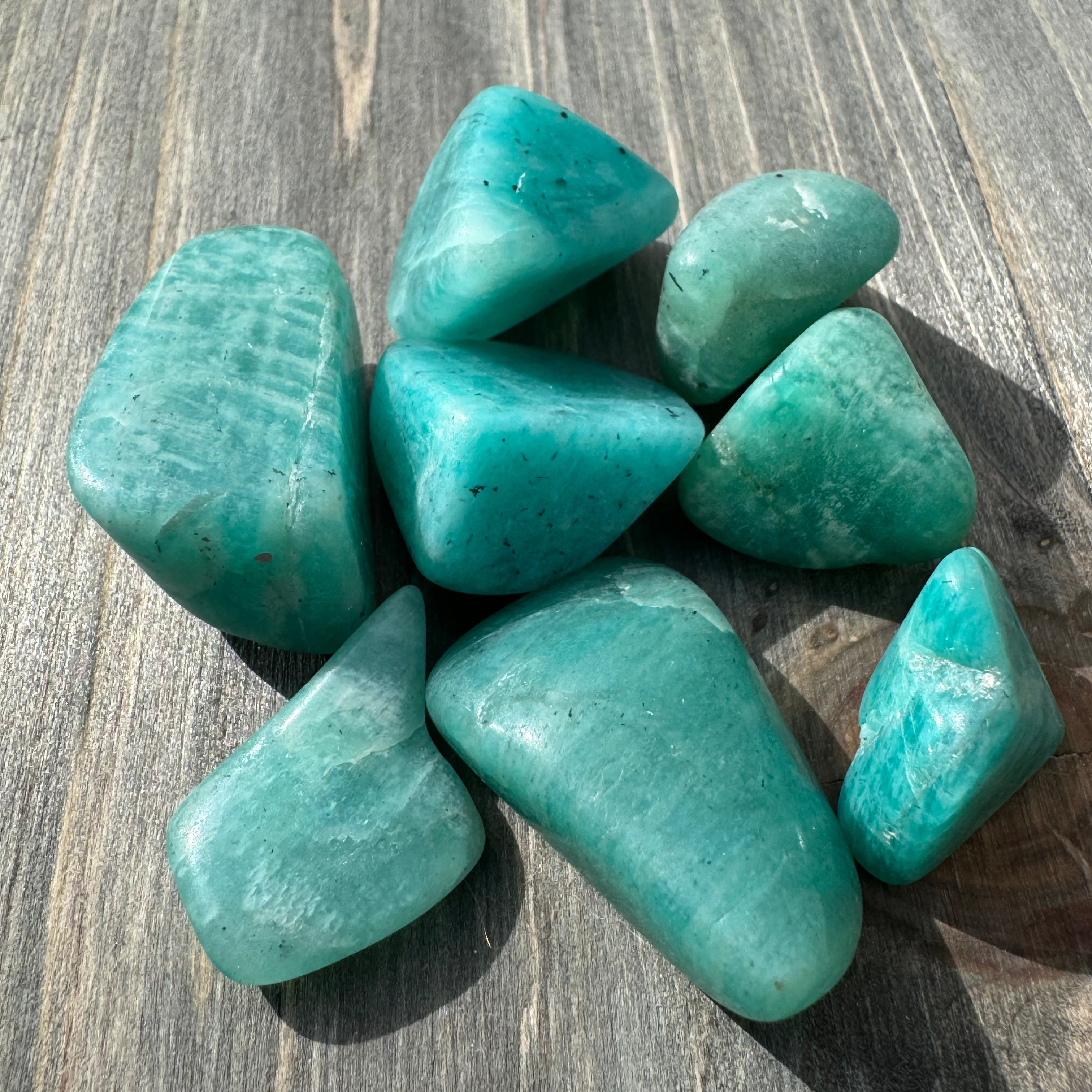 Amazonite, Deep Color - Kit of 8