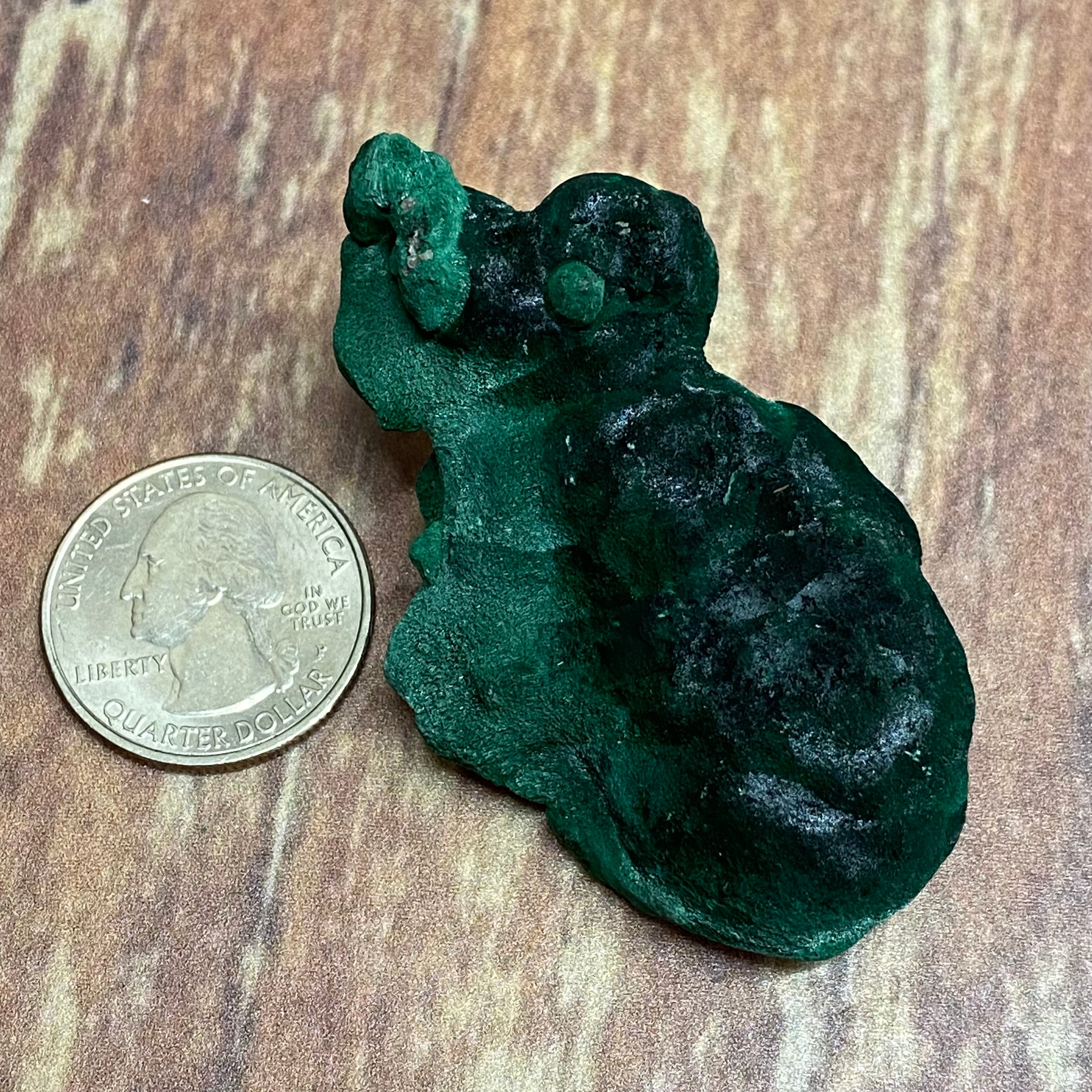 Emperor Malachite - 126