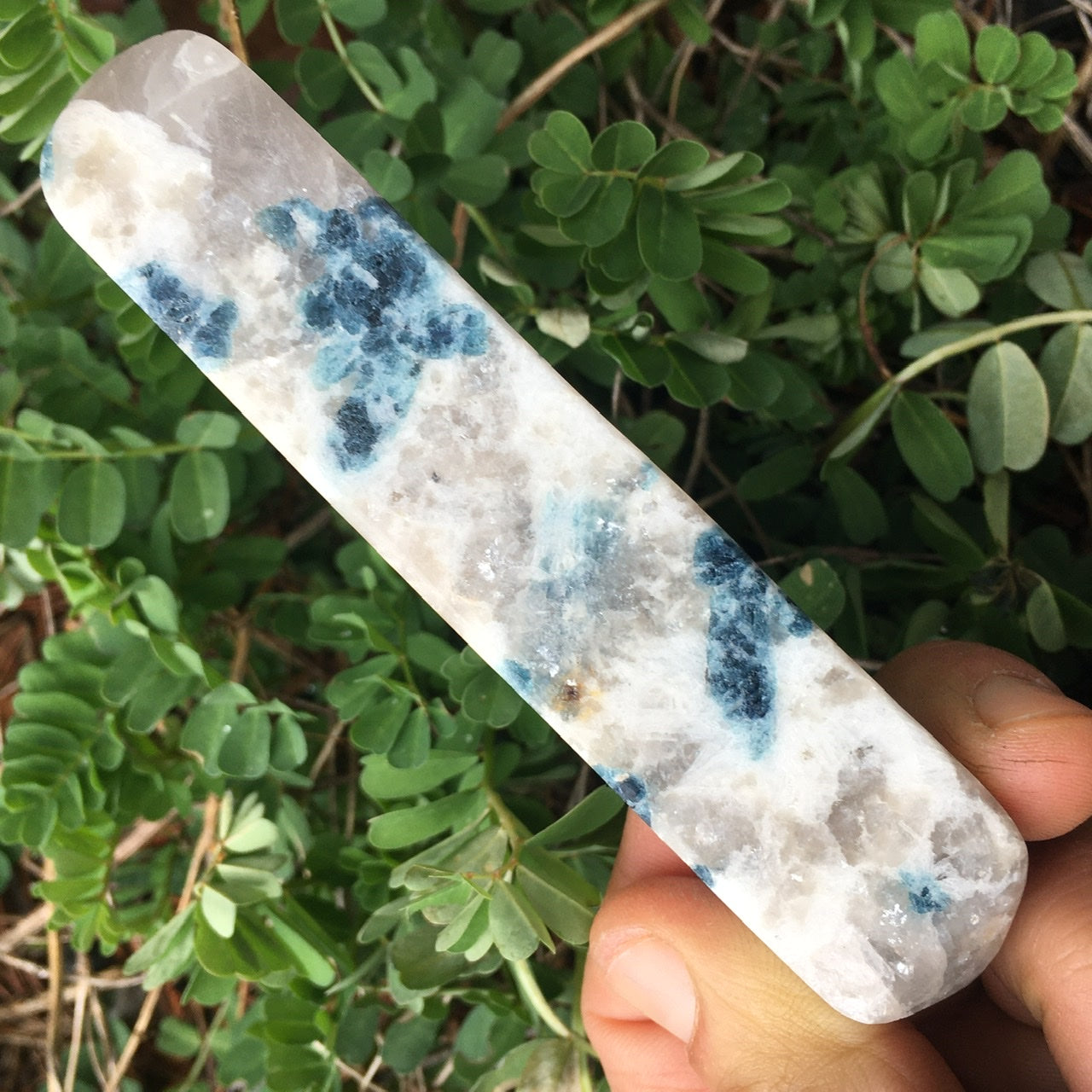 Euphoralite (Snowball) 009
