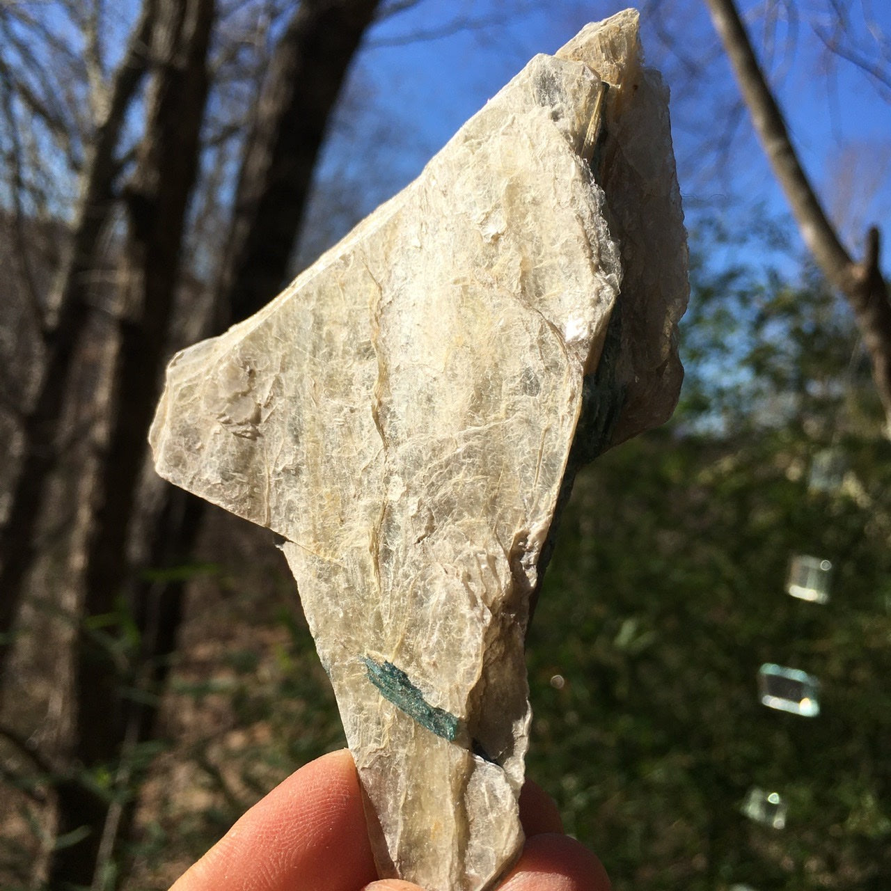 Euphoralite  (Illumination)  024