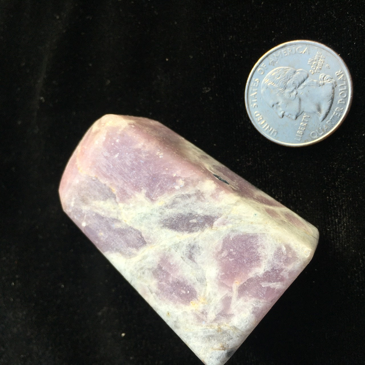 Euphoralite (Harmony) 019