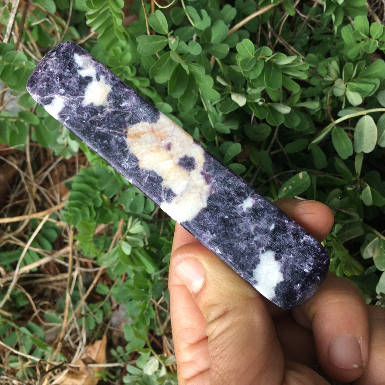 Euphoralite (Storm) 029