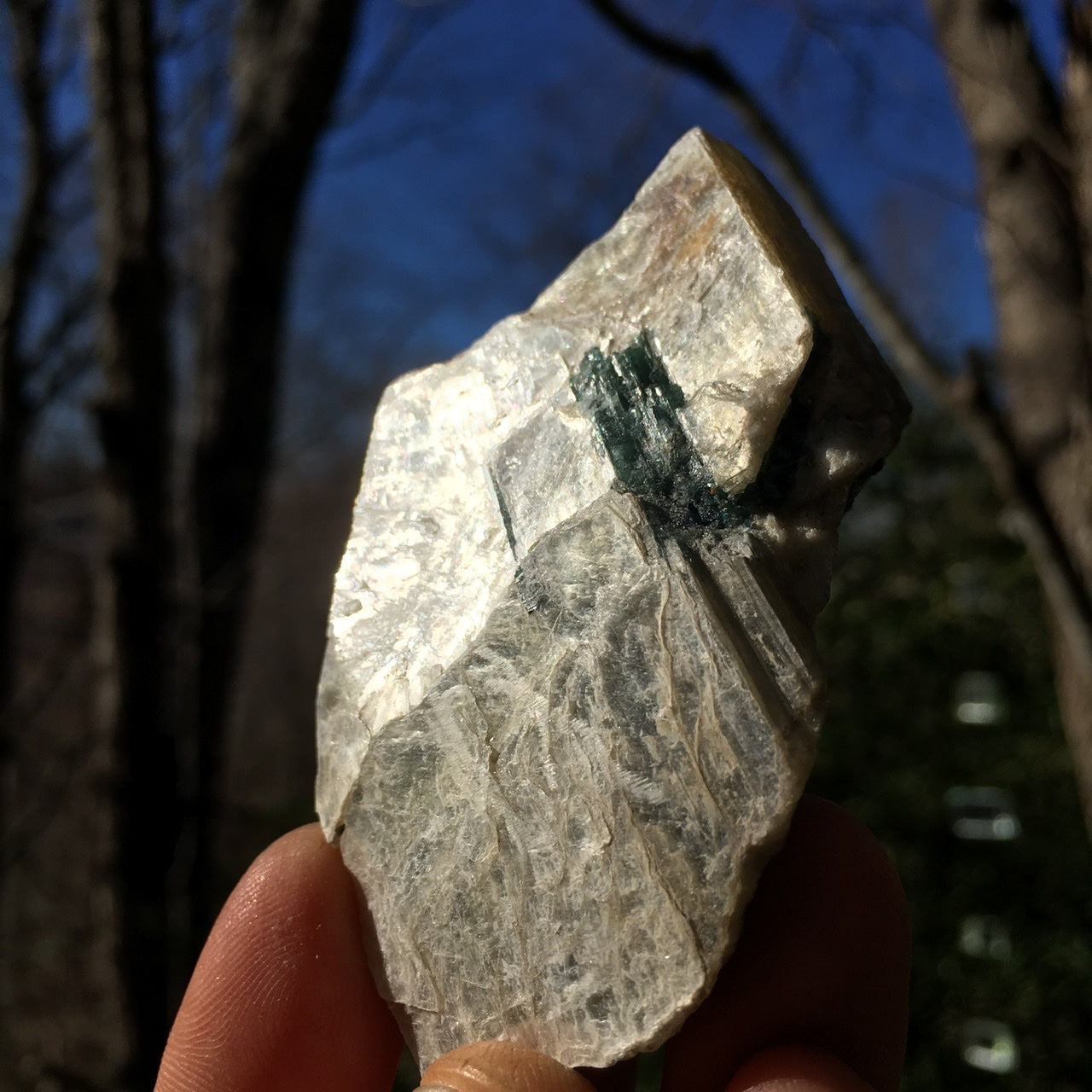 Euphoralite  (Illumination)  006