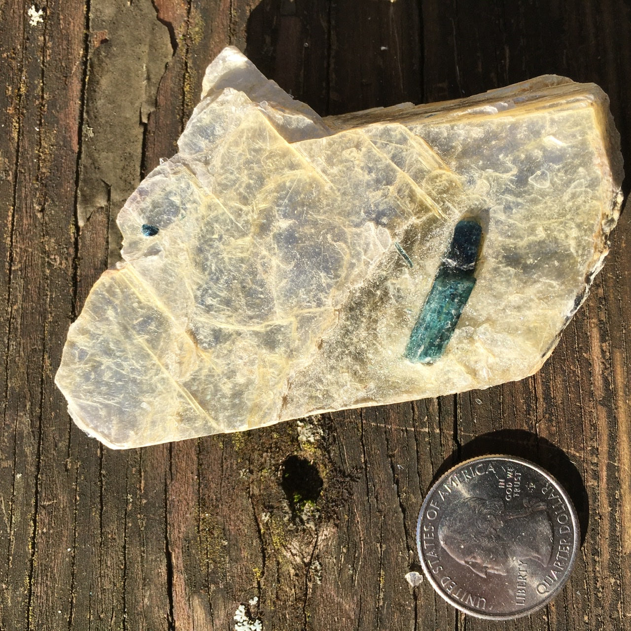 Euphoralite  (Illumination)  005