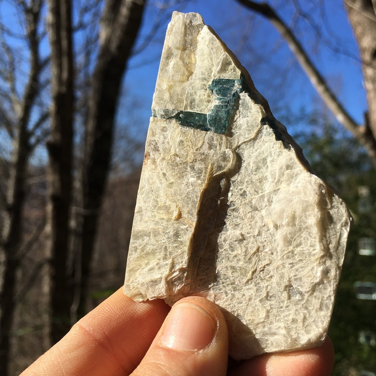 Euphoralite  (Illumination)  015
