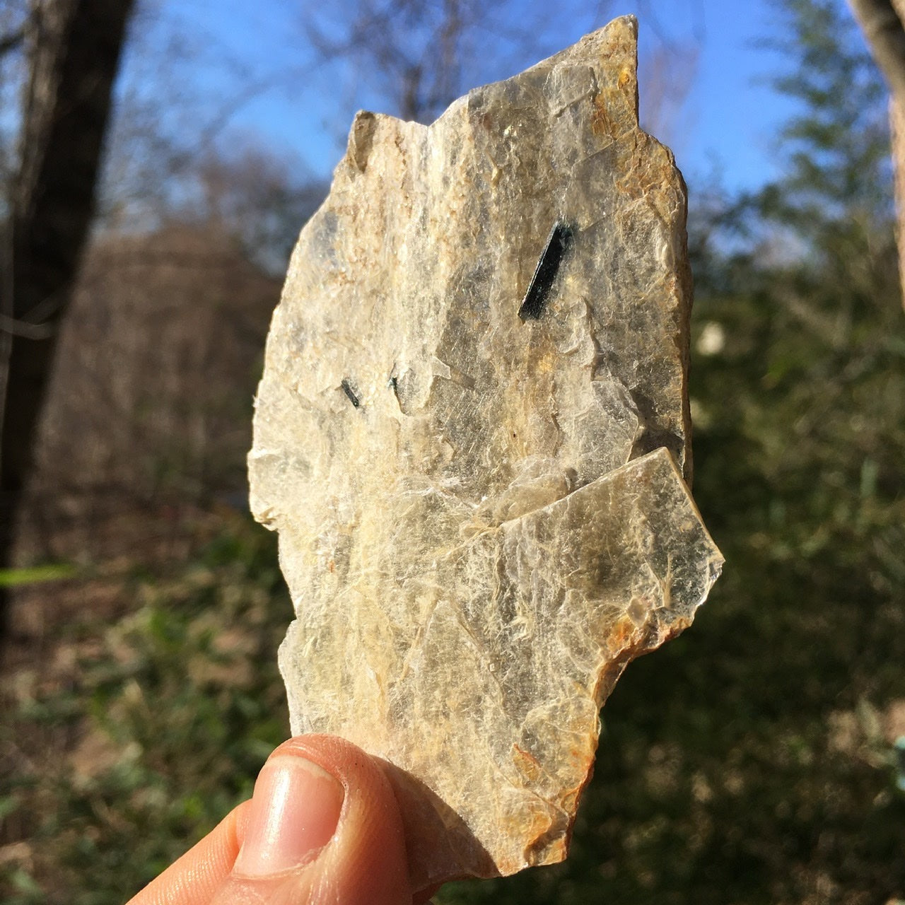 Euphoralite  (Illumination)  054