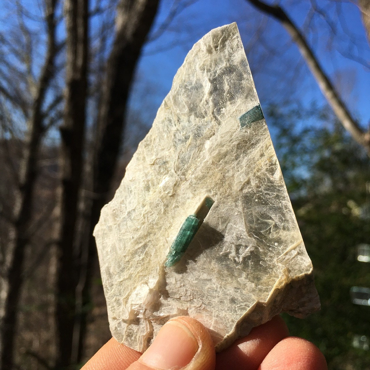 Euphoralite  (Illumination)  015