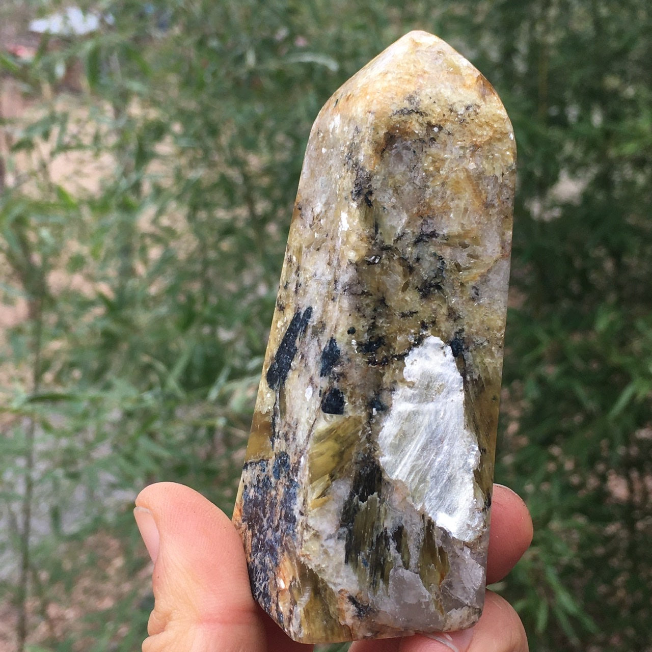 Euphoralite (Exotic) 009
