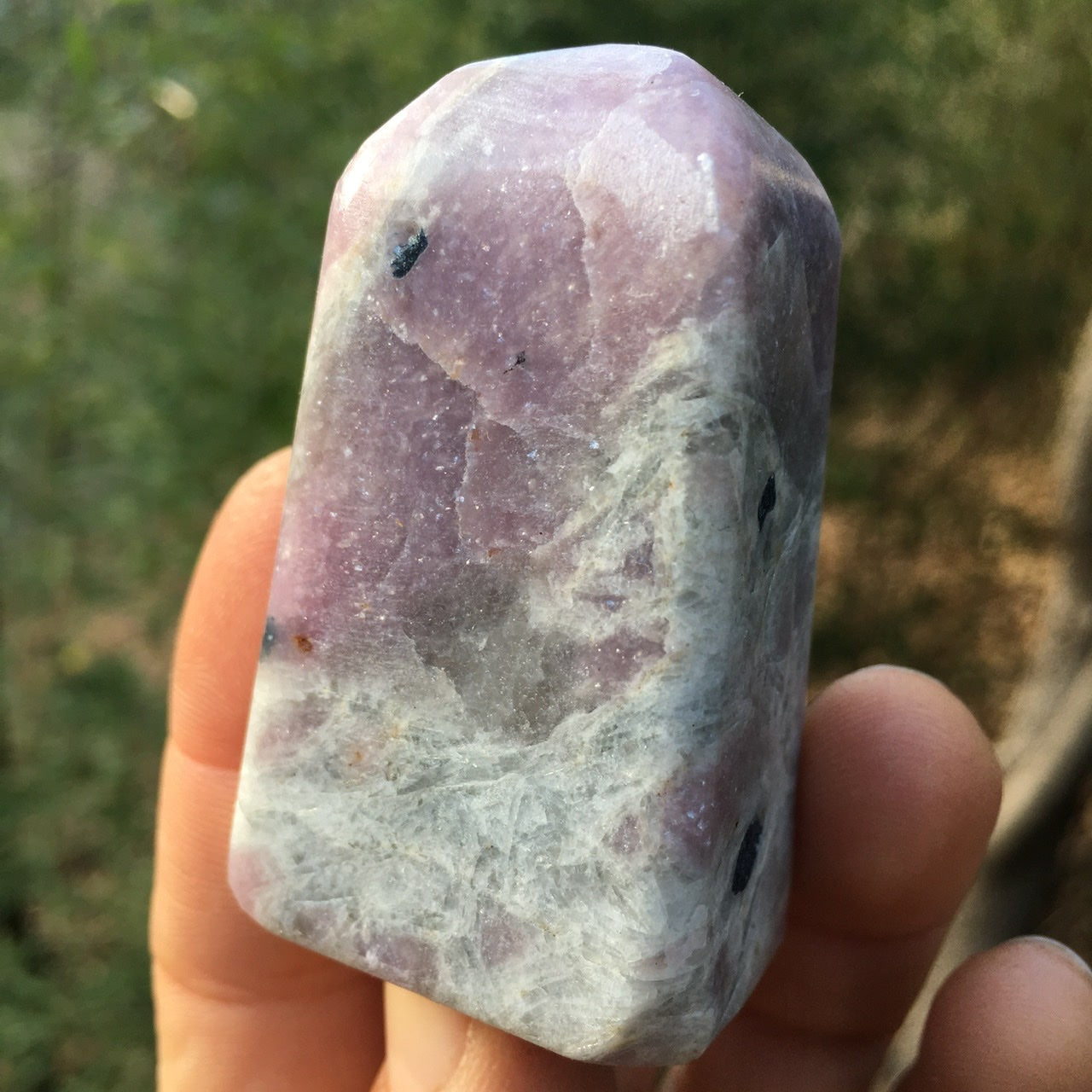Euphoralite (Harmony) 019